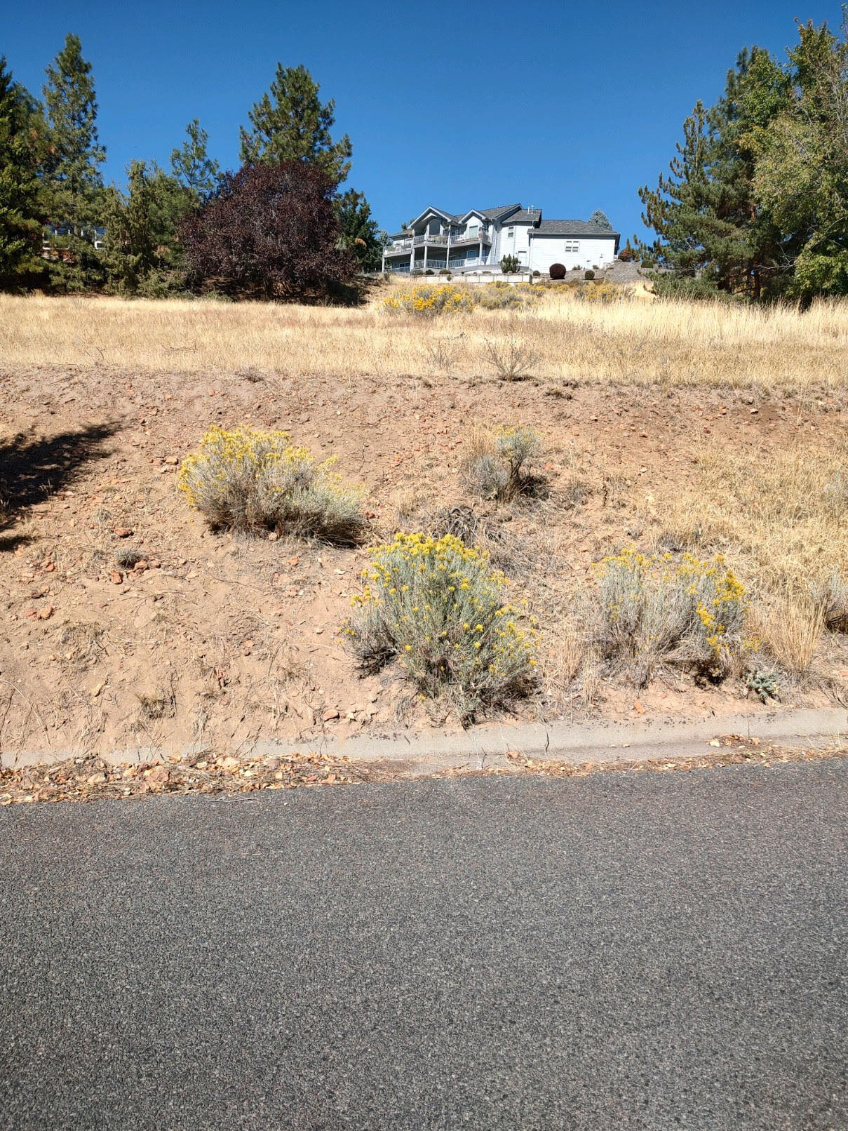 Klamath Falls -Nob Hill - Land