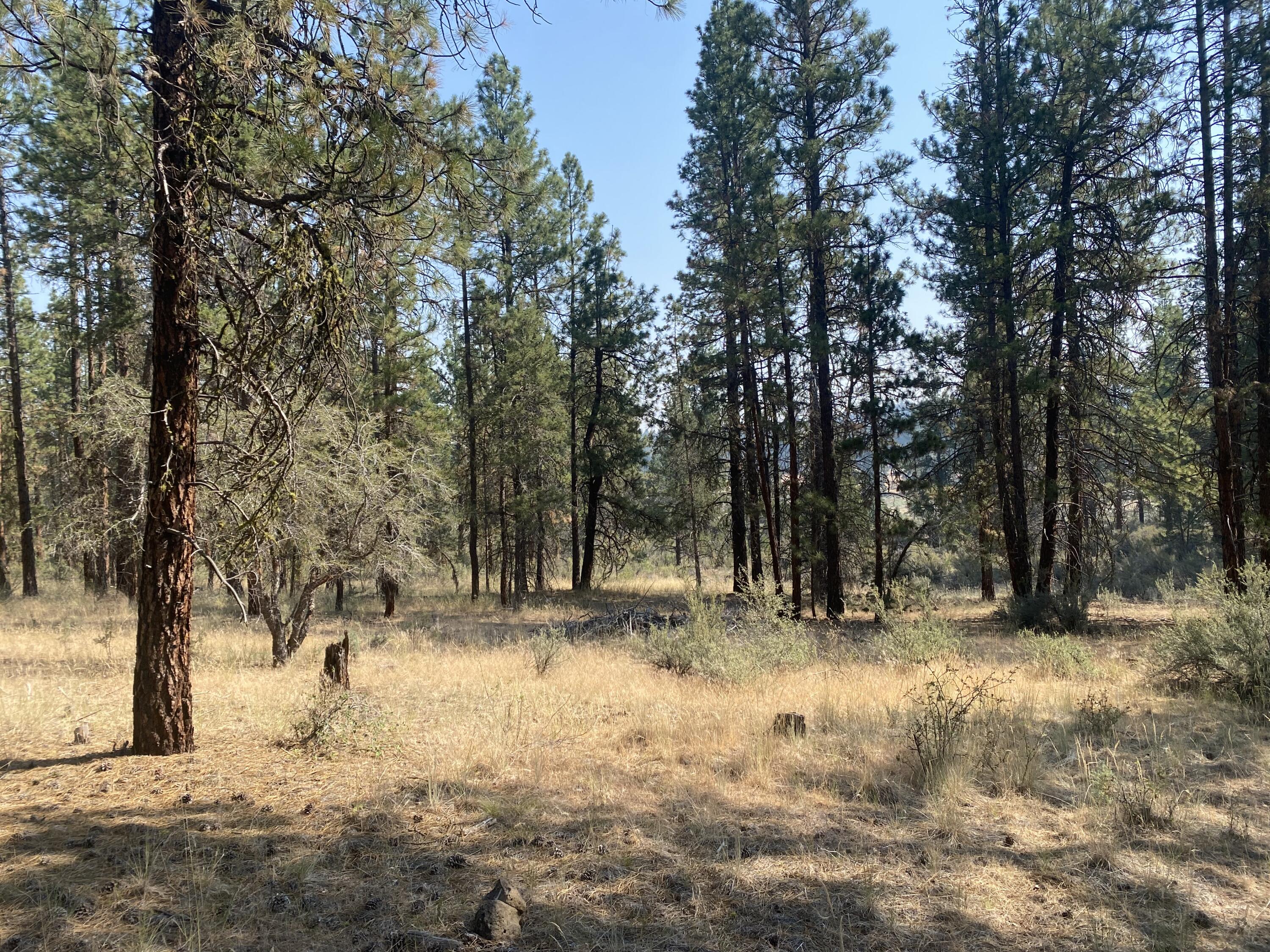 Klamath Falls Forest Estates -Hwy 66 Unit -Plat No. 2 - Land