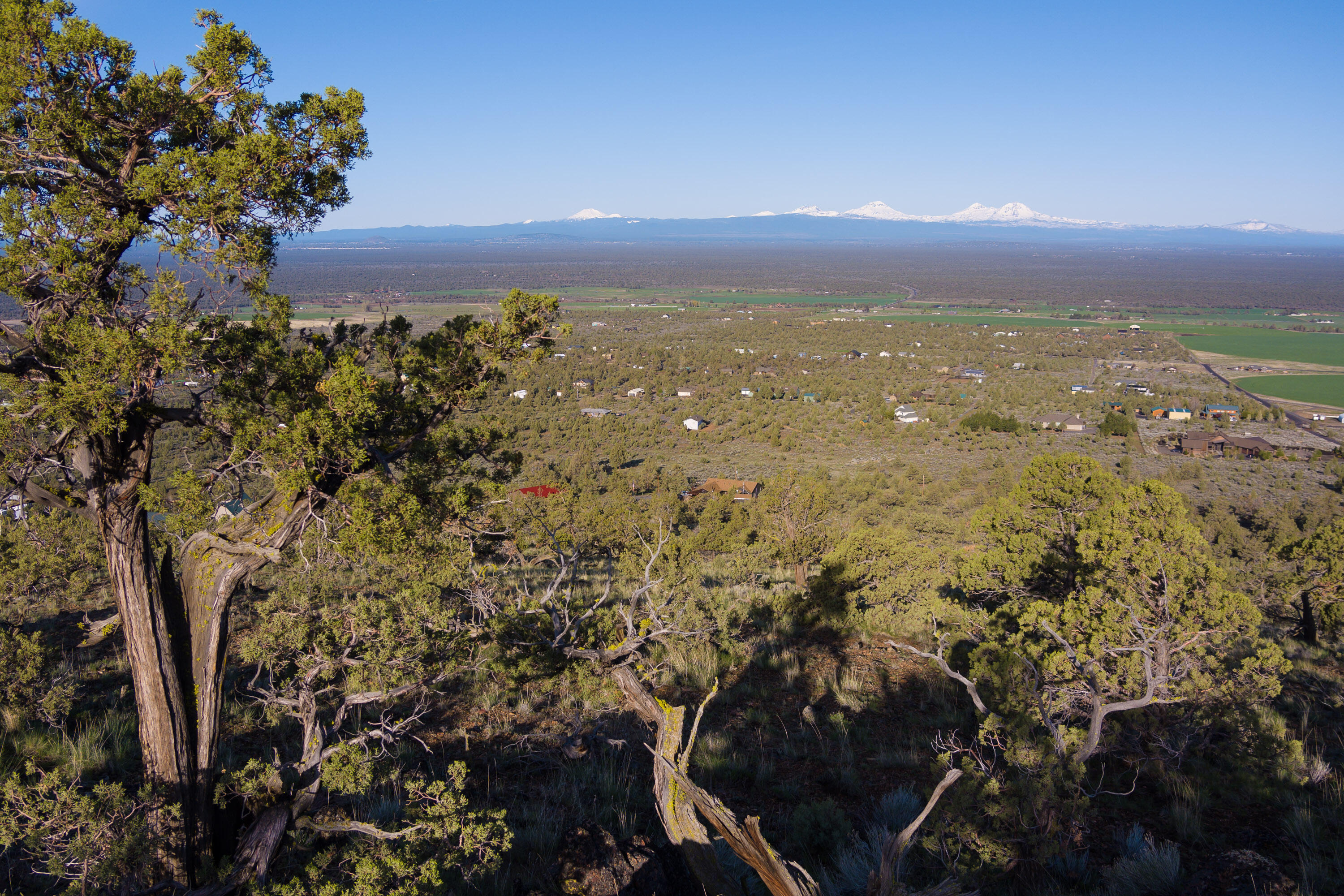Powell Butte View - Land