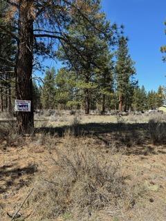 This pine treed lot is in Klamath falls Forest estate Hwy 66 Plat 2.  There is 2.19 acres of pines . There is power available must drill a well and install a septic.mostly level.