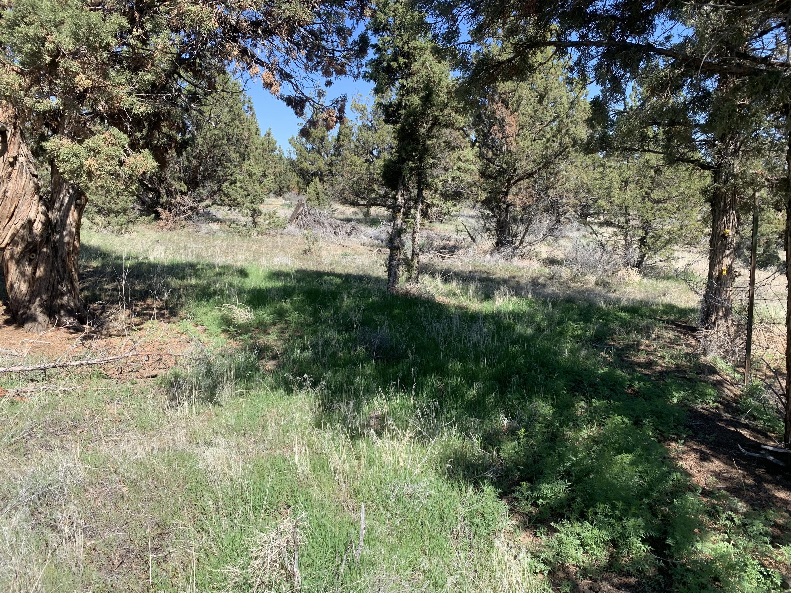 Juniper Acres - Land