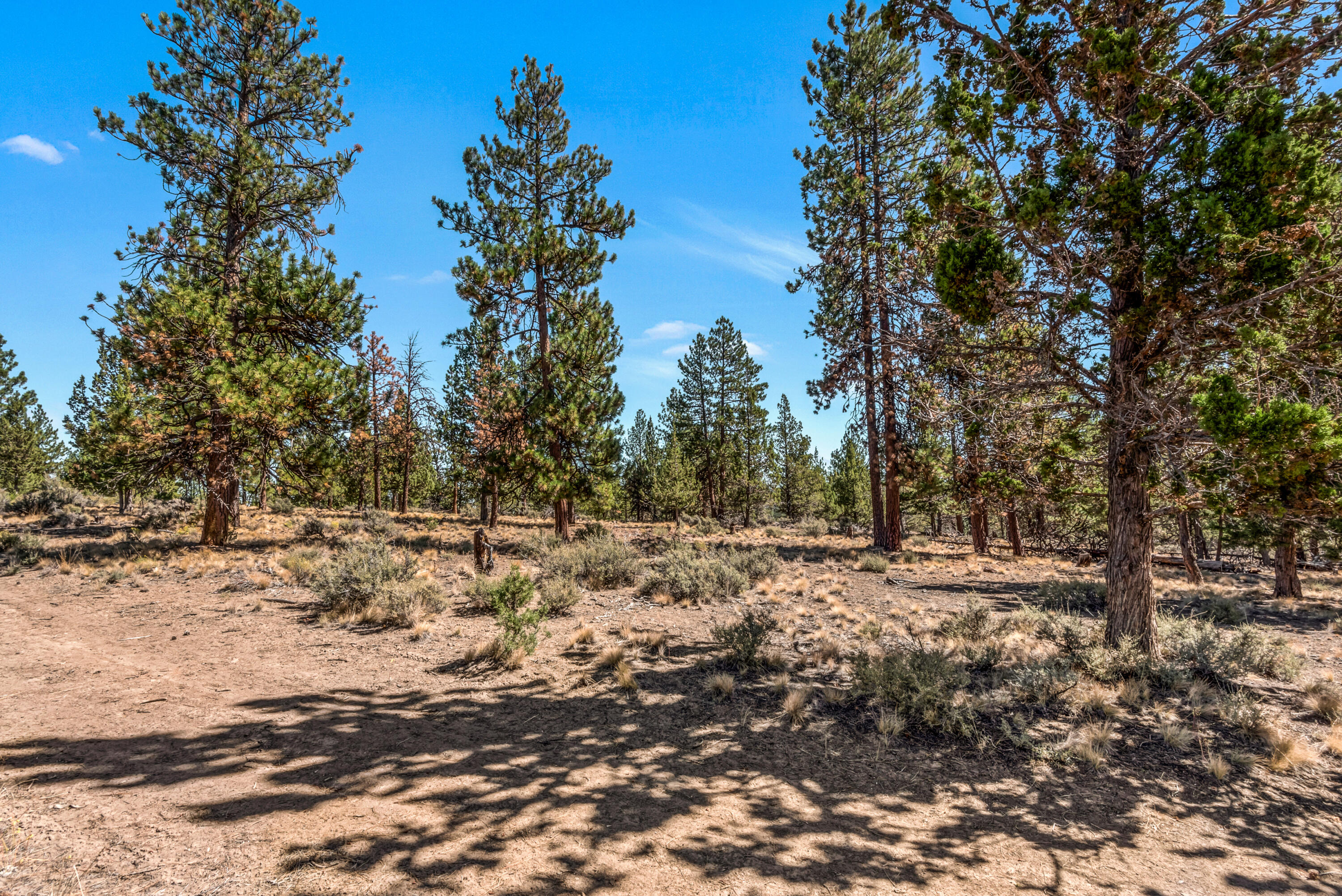 Skyline Ranch - Land