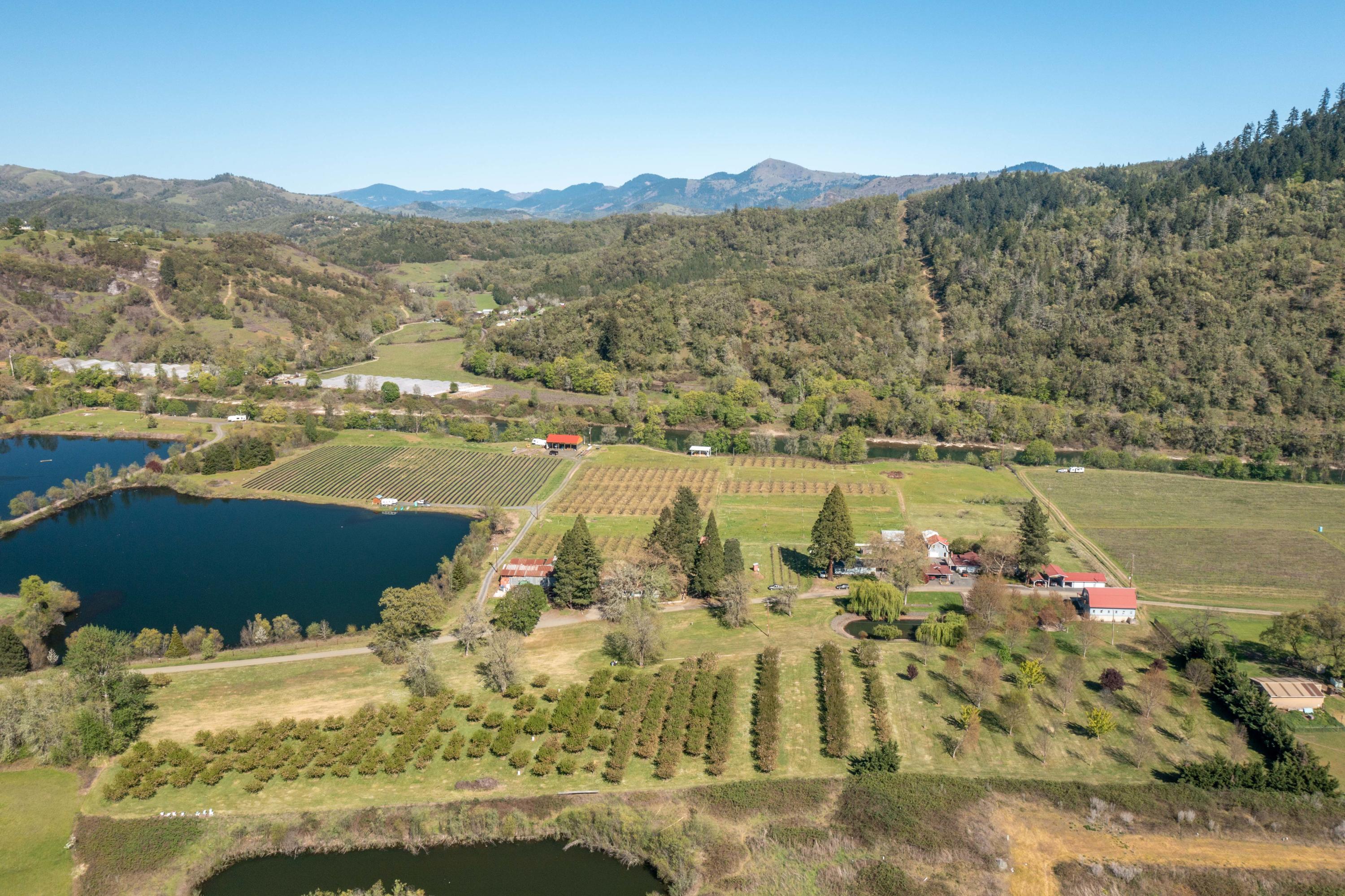 Civil Bend Orchard Tracts - Residential