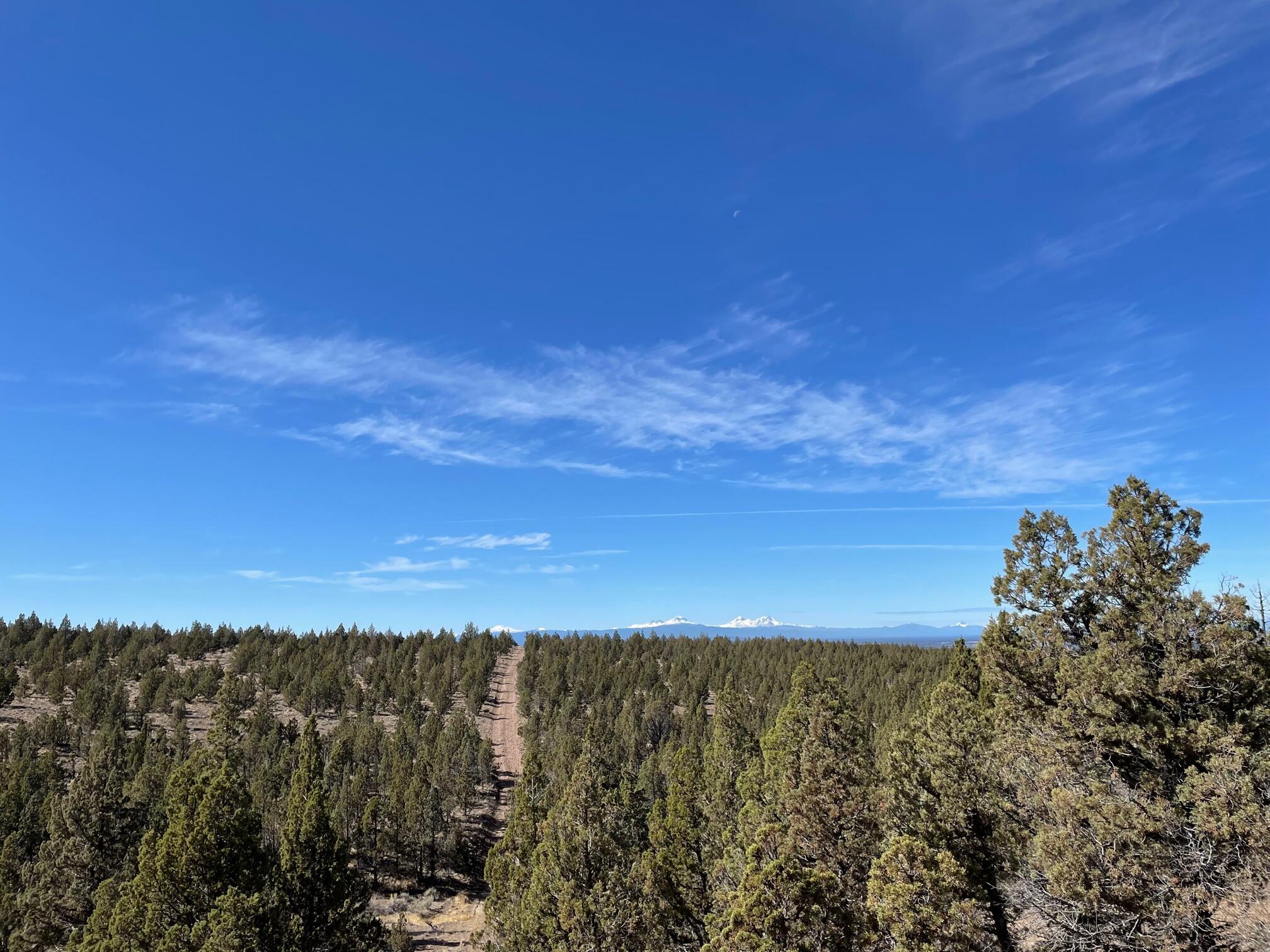 Panoramic Cascade Mountain Views from this sloped 10 acre lot that's located in the SE corner of Juniper Acres. This off grid non-buildable lot is very private, treed and the perfect spot to set up ''base camp'' for all sorts of recreation with reservoir Road OHV Play Area, Four Corners OHV Staging Area, Millican Valley OHV Trail System, and Alfalfa Curves OHV Staging Area all close by! Prineville Reservoir is just a short drive away. After a hard day of playing, check out the amazing sunsets and watch the stars in this area known for stargazing!