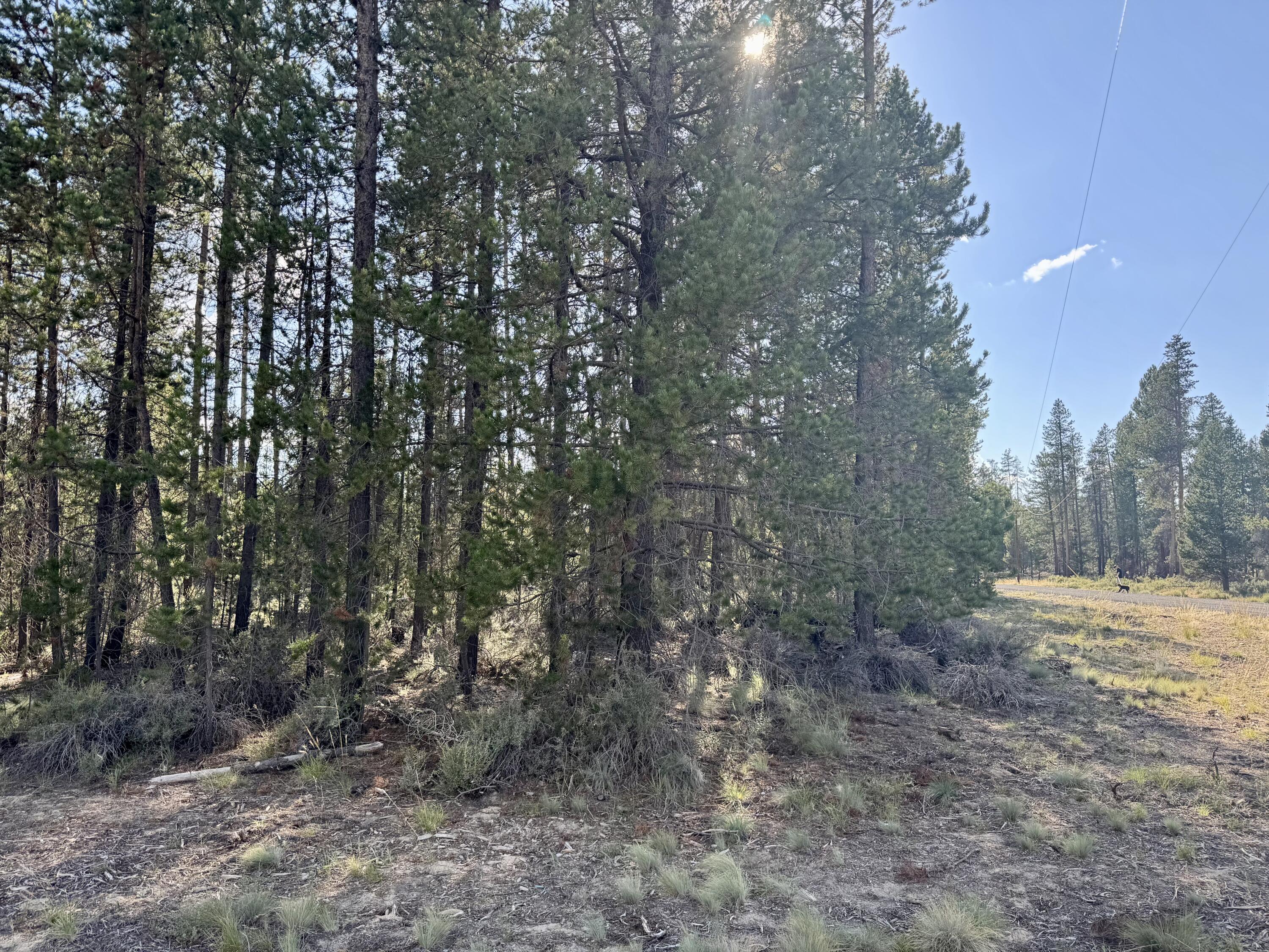 Check out this awesome 1.04-acre lot in Antelope Meadows! It's level and has some nice trees, making it a great spot for your dream home. This place is just waiting for your plans—let's make it happen! Lot 9 and 10 are also available.