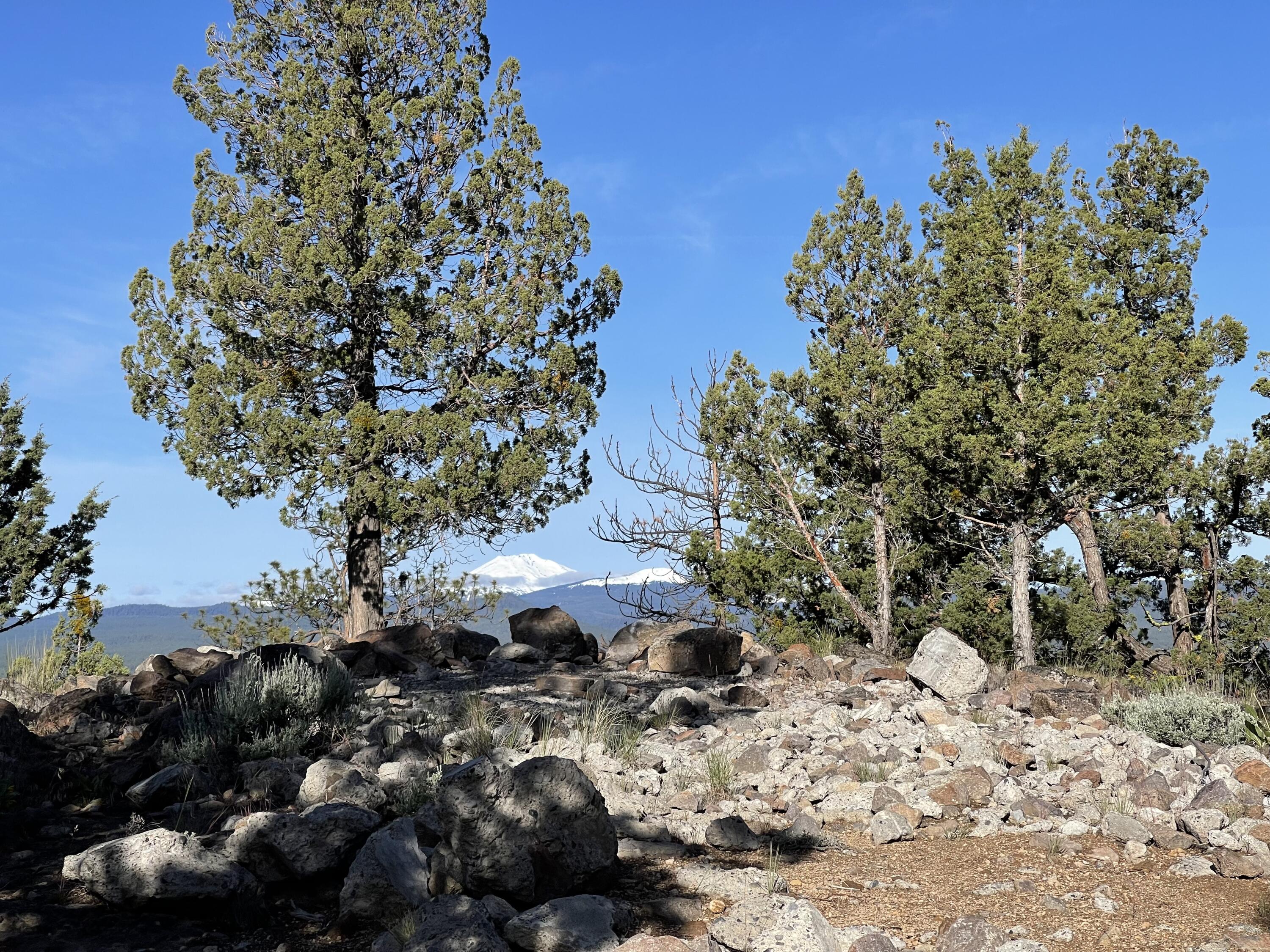 Awbrey Butte - Land