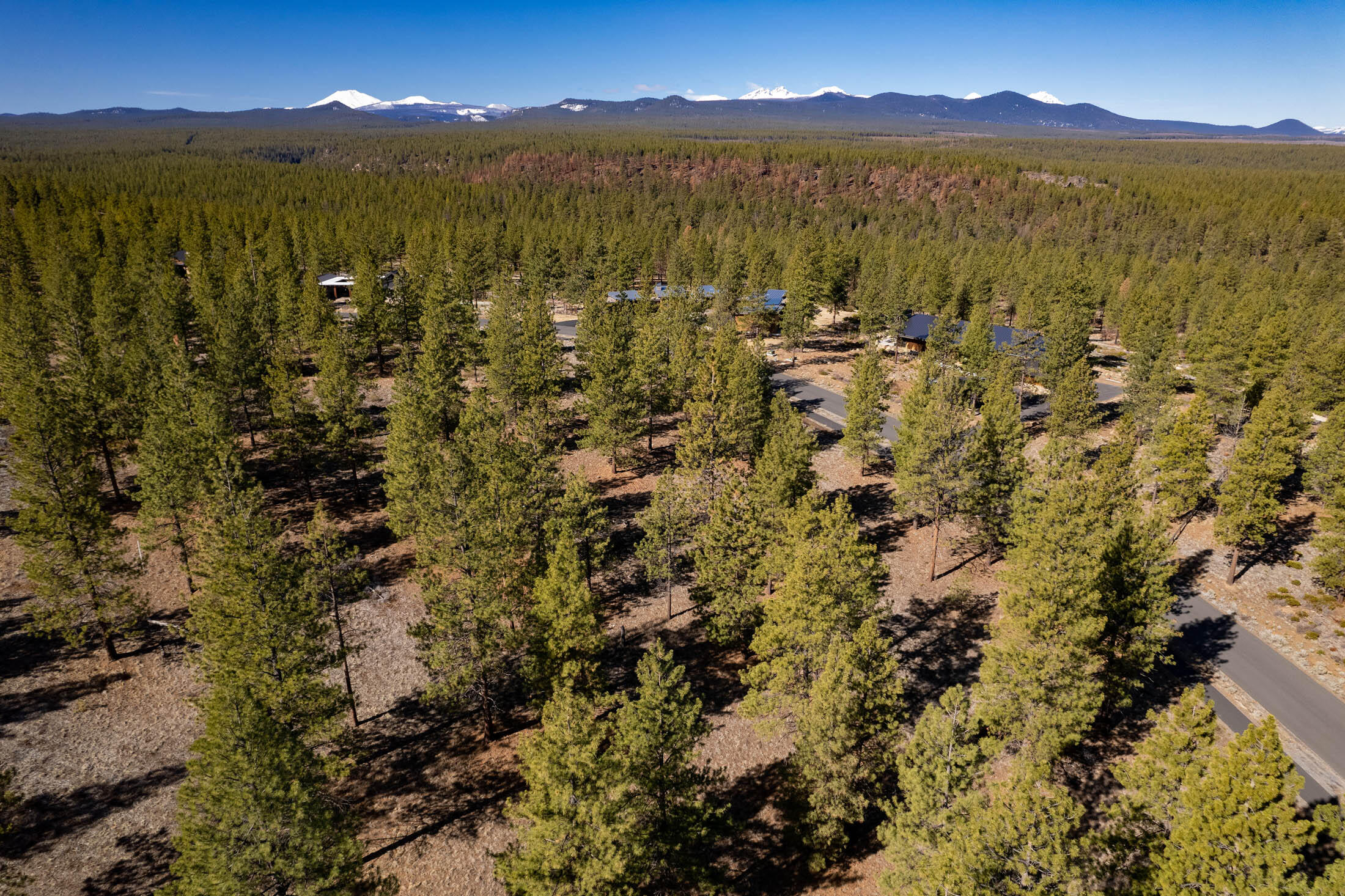 Tree Farm - Land