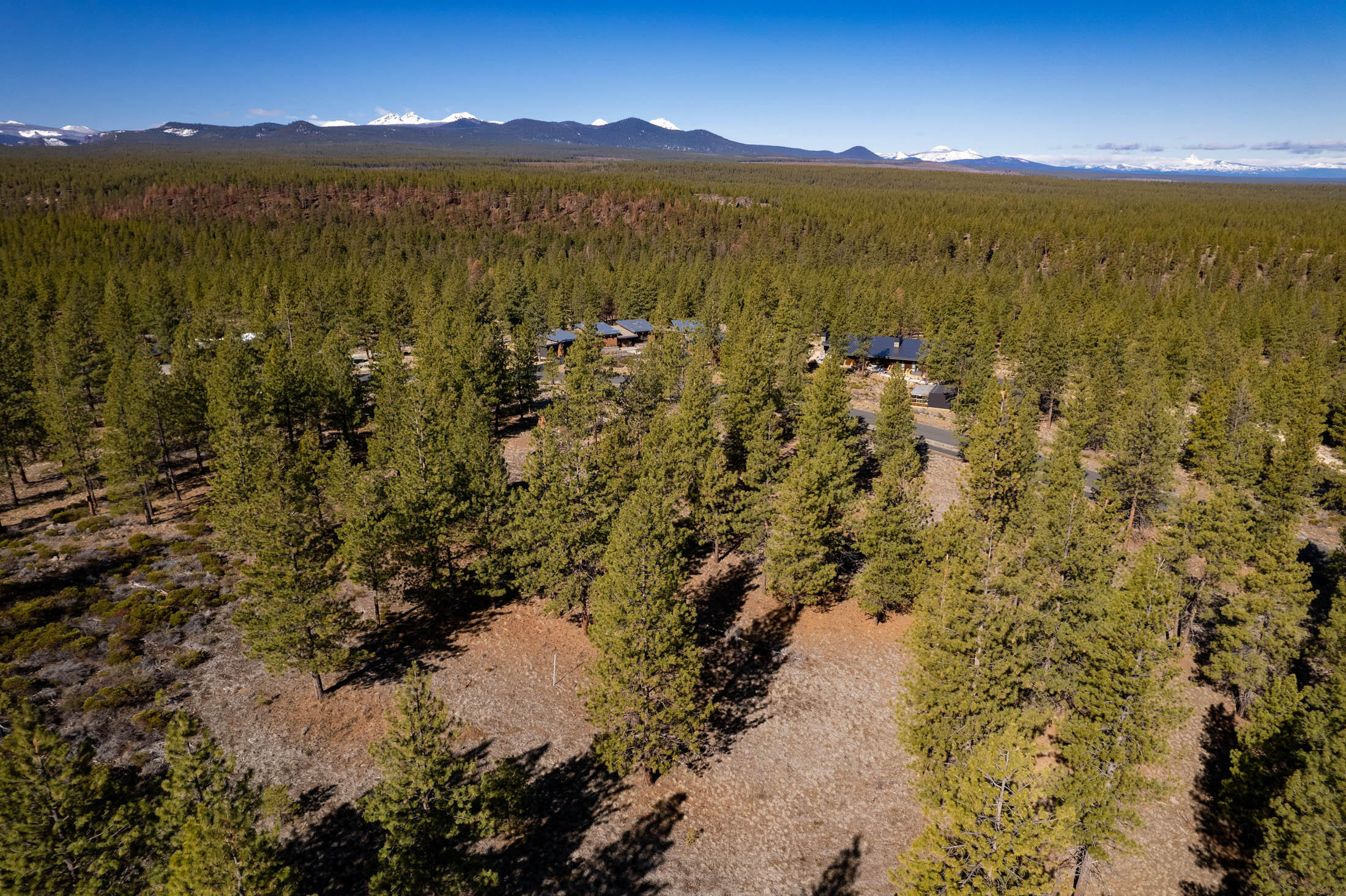 Tree Farm - Land