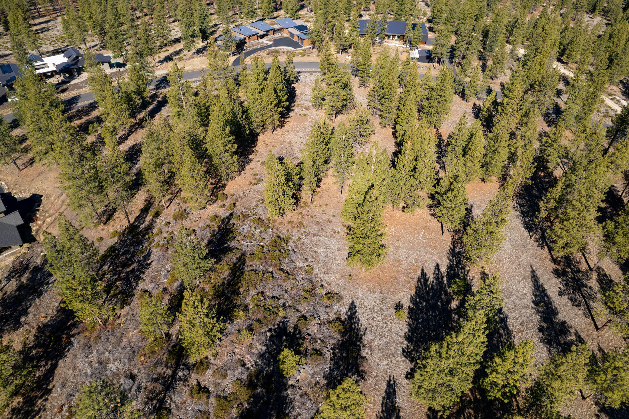 Tree Farm - Land