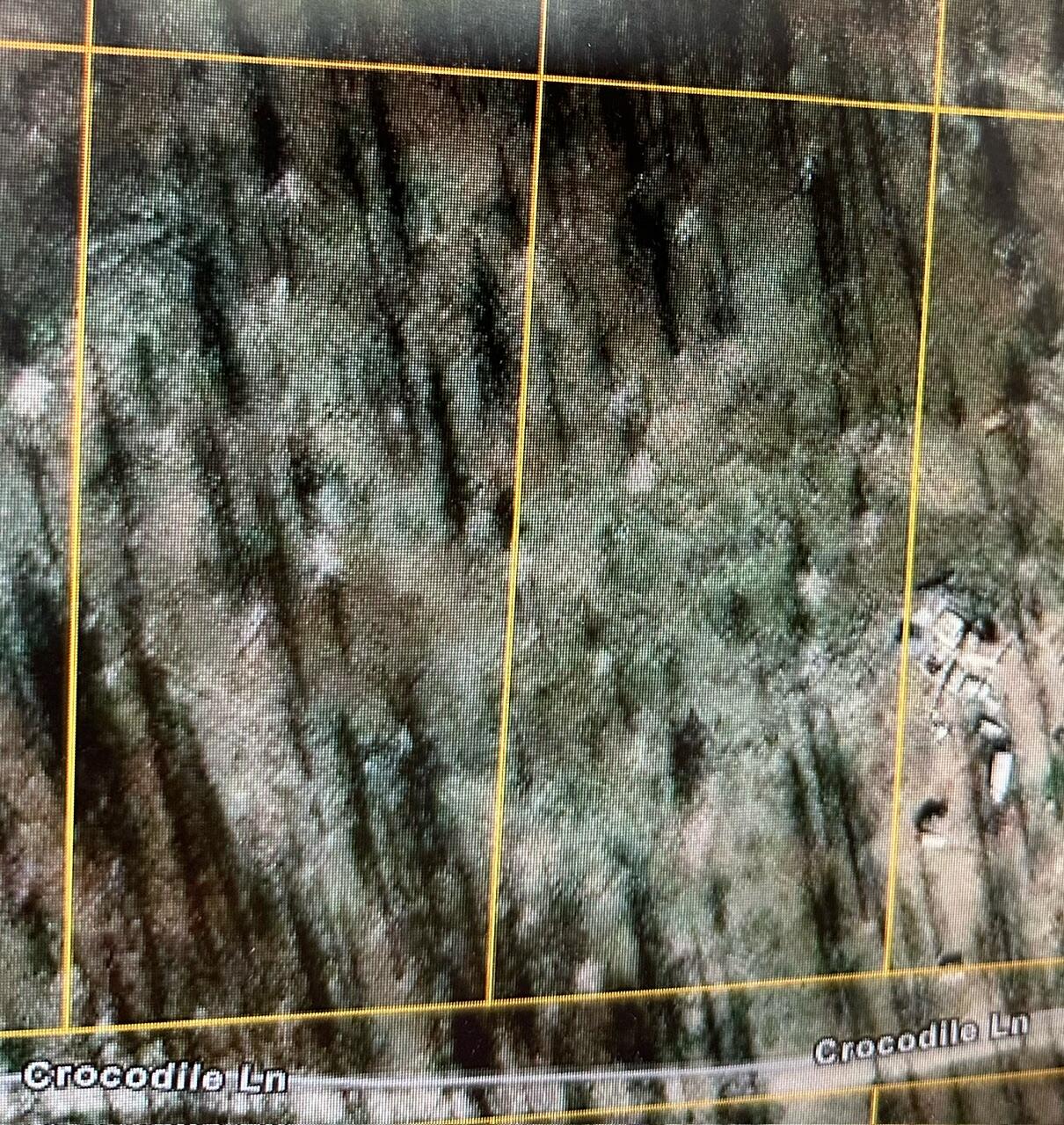 Klamath Forest Estates -First Addition - Land