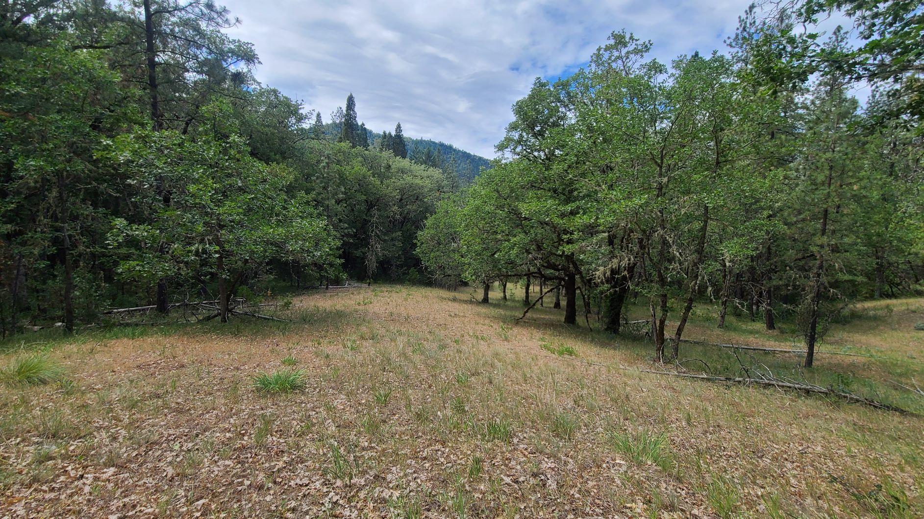 Back on the market, no fault to the property. First time on the market in over 53 years! Serene 40.97 acres of rolling timber hills to tranquil meadows. Super quiet property full of wildlife and wild flowers. Perfect for recreational use or plan the dream home you've always visioned. The front 15 acres are gently sloping to moderately rolling. The very back of the property is steep and is also bordered by thousands of acres of BLM. Elevation at the lowest point of the property is 1400 feet to 1800 feet at the very top. Deeded Easement access crosses Foots Creek, but not yet developed. A bridge will need to be engineered, buyer to do due diligence. Historic Grave Headstones are located on the upper quadrant of the property on top of a steep null, great spot to take in the views. Simply stunning property in a lovely area with so much potential. Very quiet location, but close to Interstate 5. Appointment only.
