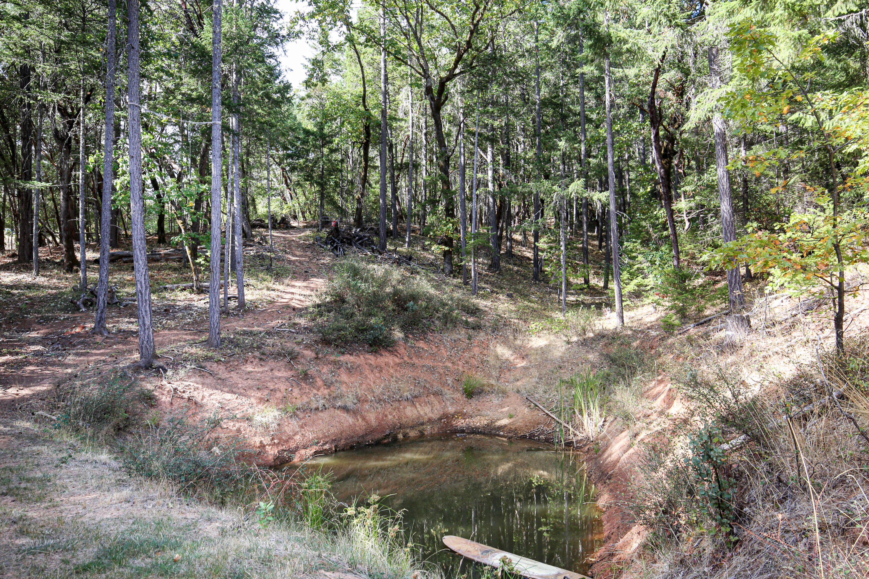 Merlin Townsite - Land