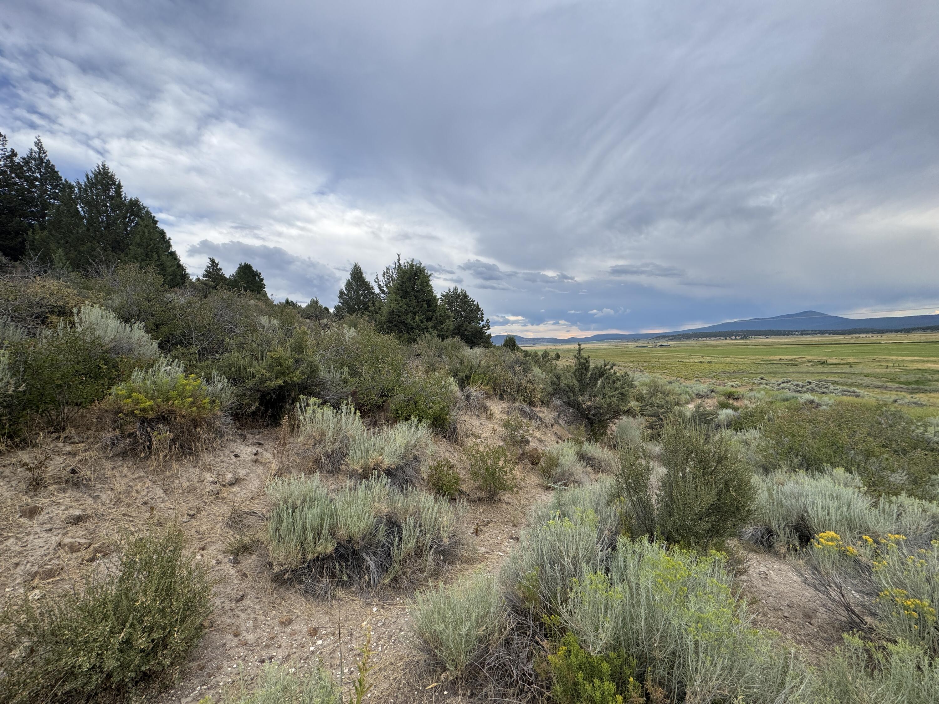 1.52 Acres | Peaceful Residential Lot in Quaint Sprague River, OR-Sweeping River & Valley Views! Escape to the tranquil beauty of the Pacific Northwest with this 1.52-acre residential lot located in the quiet town of Sprague River. Suited for homesteading, off-grid living or private recreational base, this property offers the space & freedom to live life your way. Surrounded by nature, this slightly sloped parcel provides a great setting for those seeking peace, privacy & a deeper connection with the land. Featuring native trees + plants & packed with abundant wildlife and bird activity. Just moments away is the Sprague River, where you can enjoy fishing, swimming & kayaking. Whether you're planning a permanent home, seasonal escape or weekend retreat, this lot delivers a rare combination of seclusion + accessibility—only 45 minutes from Klamath Falls & everyday amenities. No HOA. No stress. Just clean air, big skies, and boundless potential.