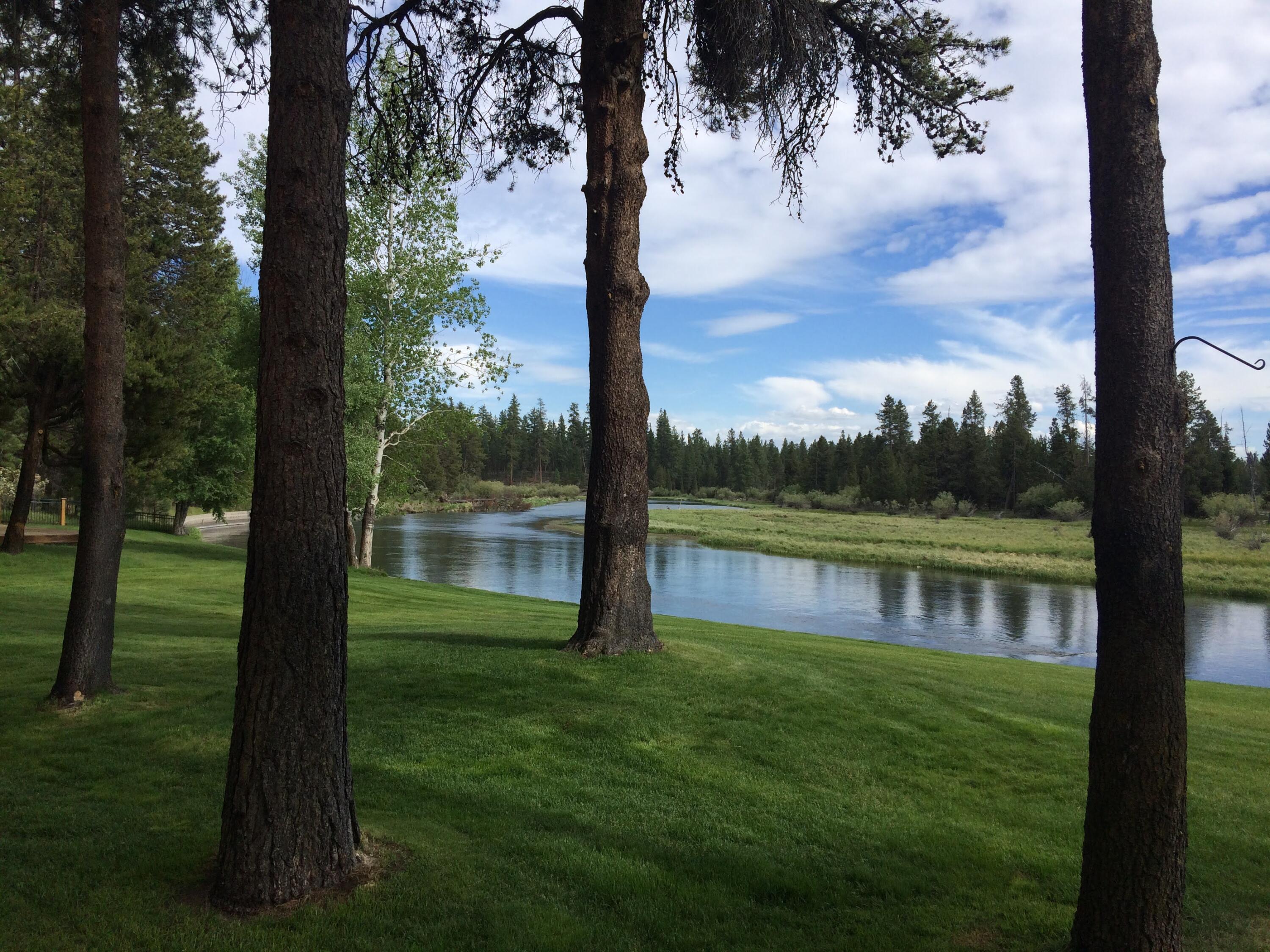 River Forest Acres - Residential