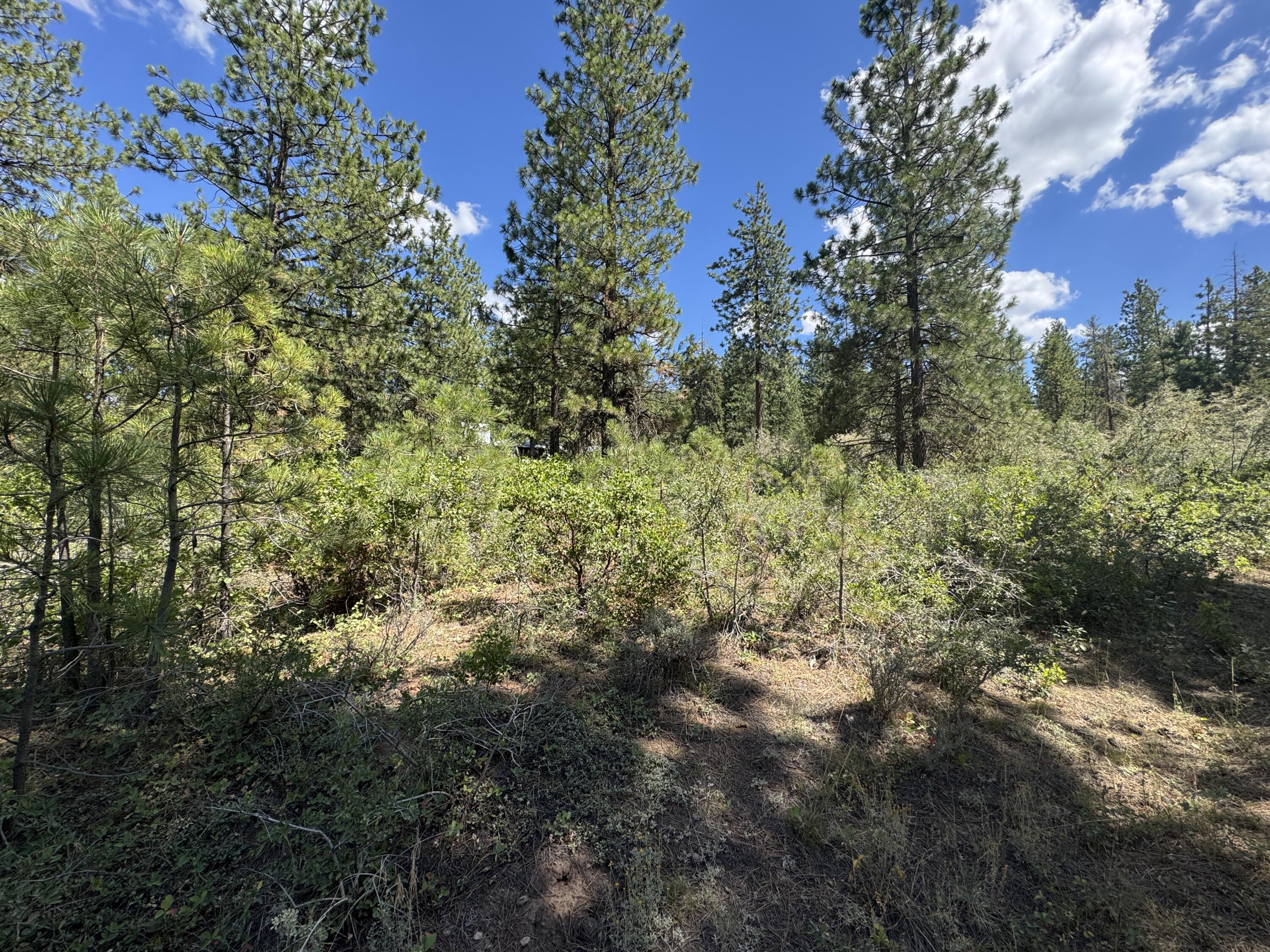 Klamath Falls Forest Estates Hwy 66 Unit Plat 4 - Land