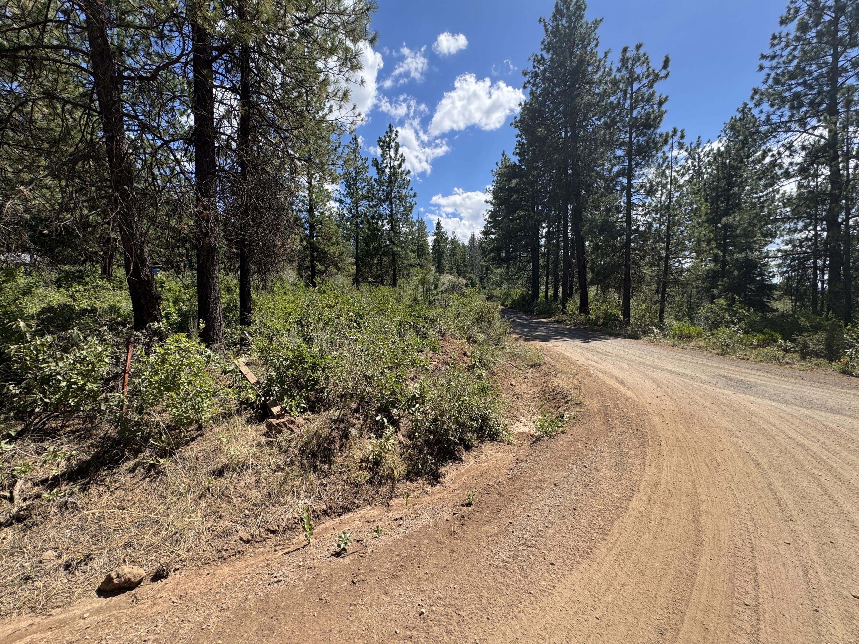 Klamath Falls Forest Estates Hwy 66 Unit Plat 4 - Land