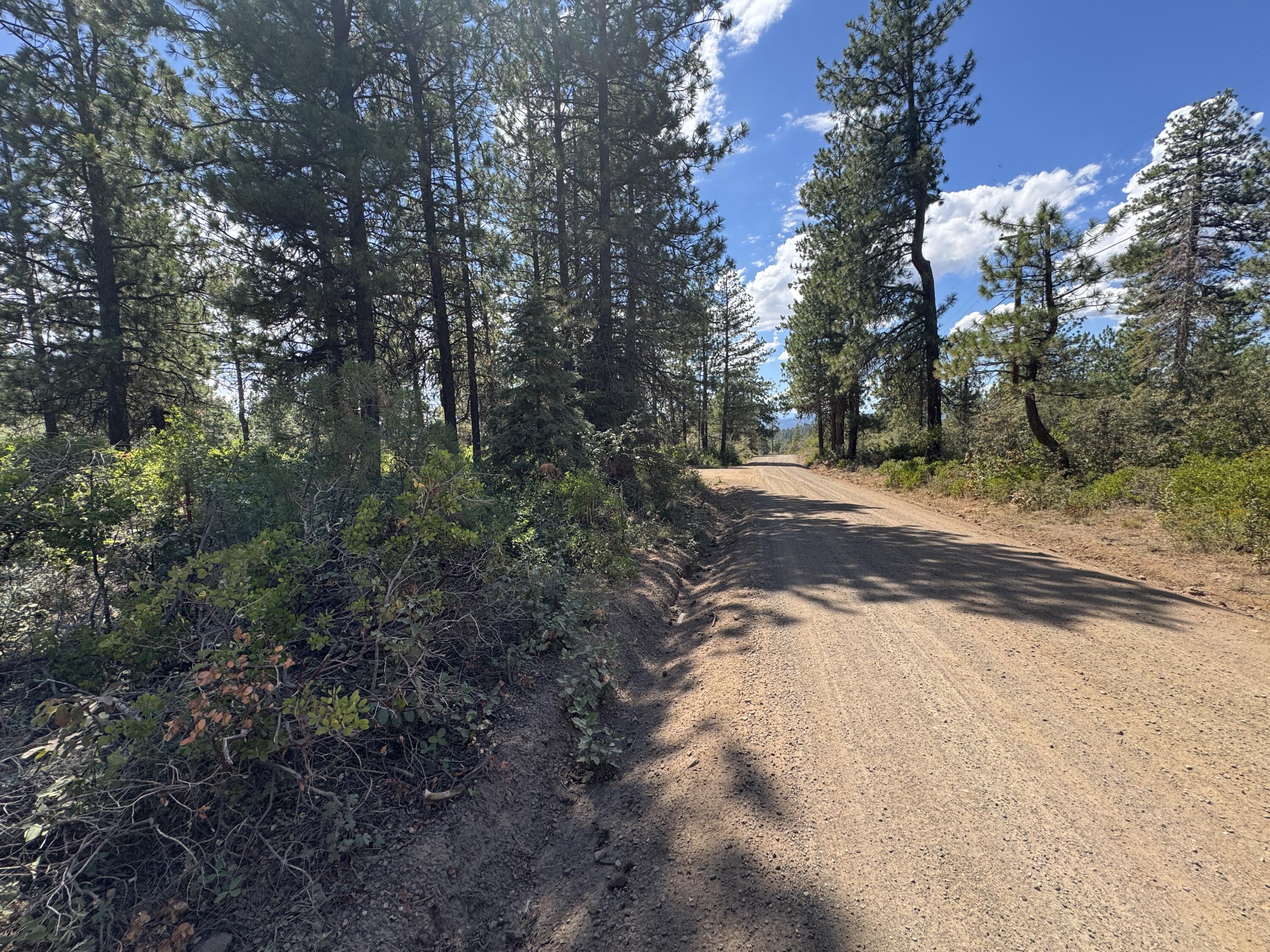 Klamath Falls Forest Estates Hwy 66 Unit Plat 4 - Land