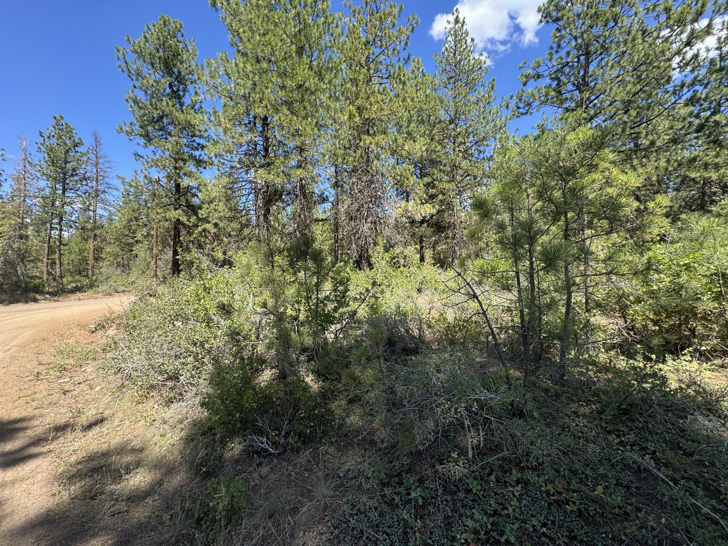 Klamath Falls Forest Estates Hwy 66 Unit Plat 4 - Land