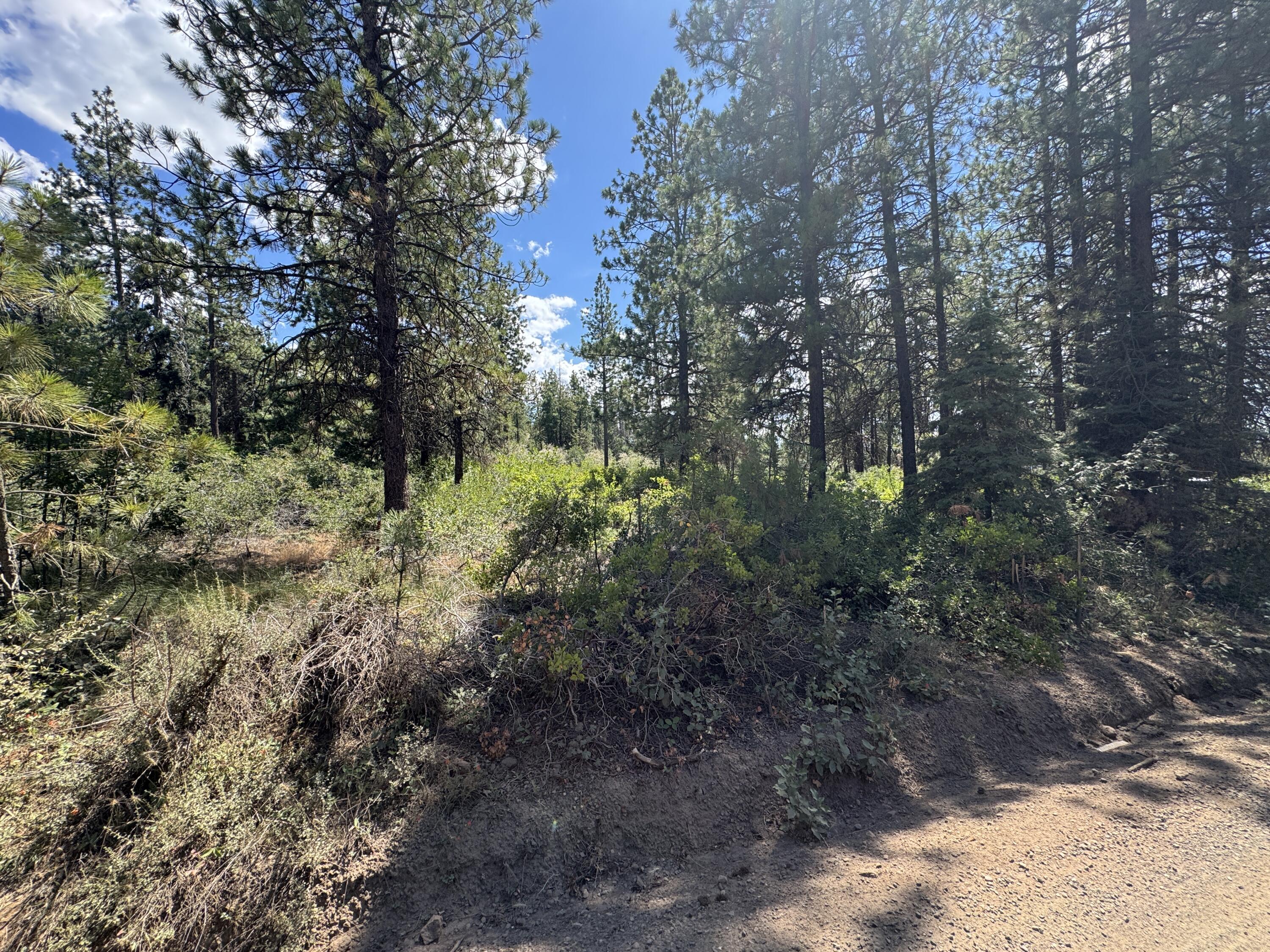 Klamath Falls Forest Estates Hwy 66 Unit Plat 4 - Land