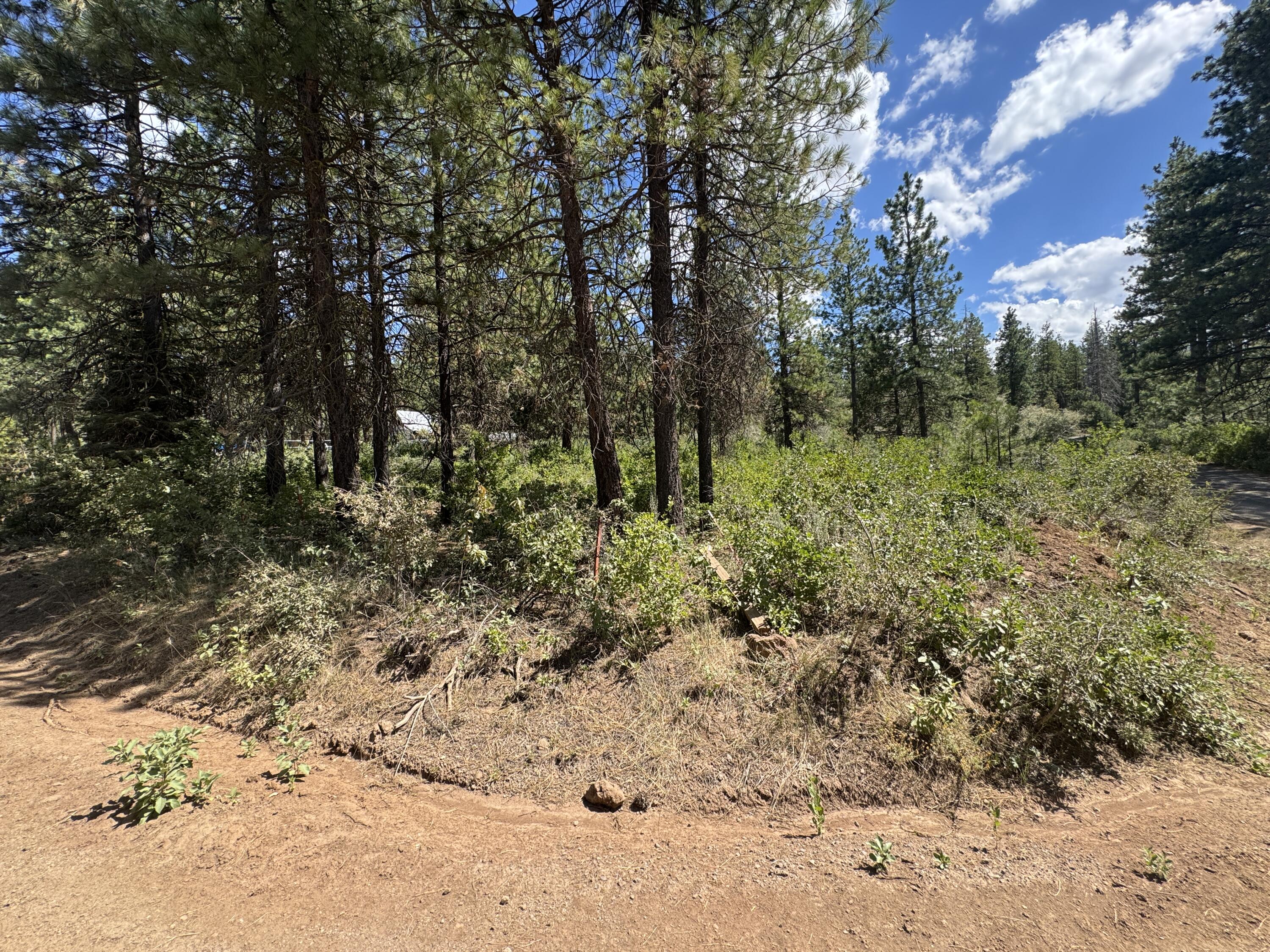Klamath Falls Forest Estates Hwy 66 Unit Plat 4 - Land