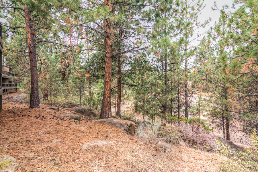 Mt Bachelor Village - Residential
