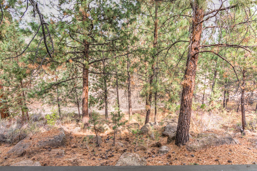 Mt Bachelor Village - Residential