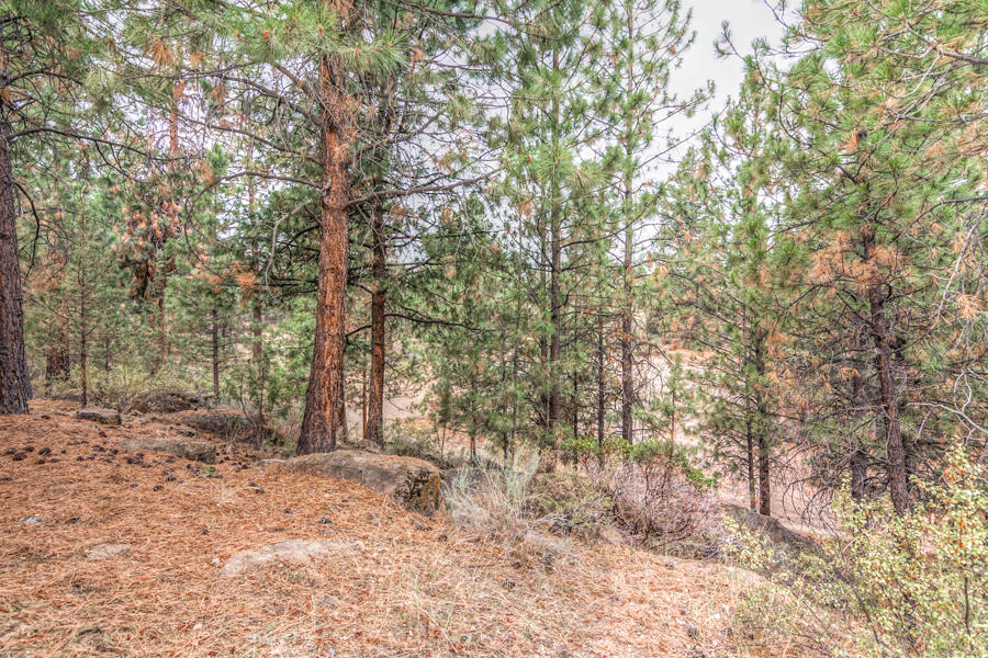 Mt Bachelor Village - Residential