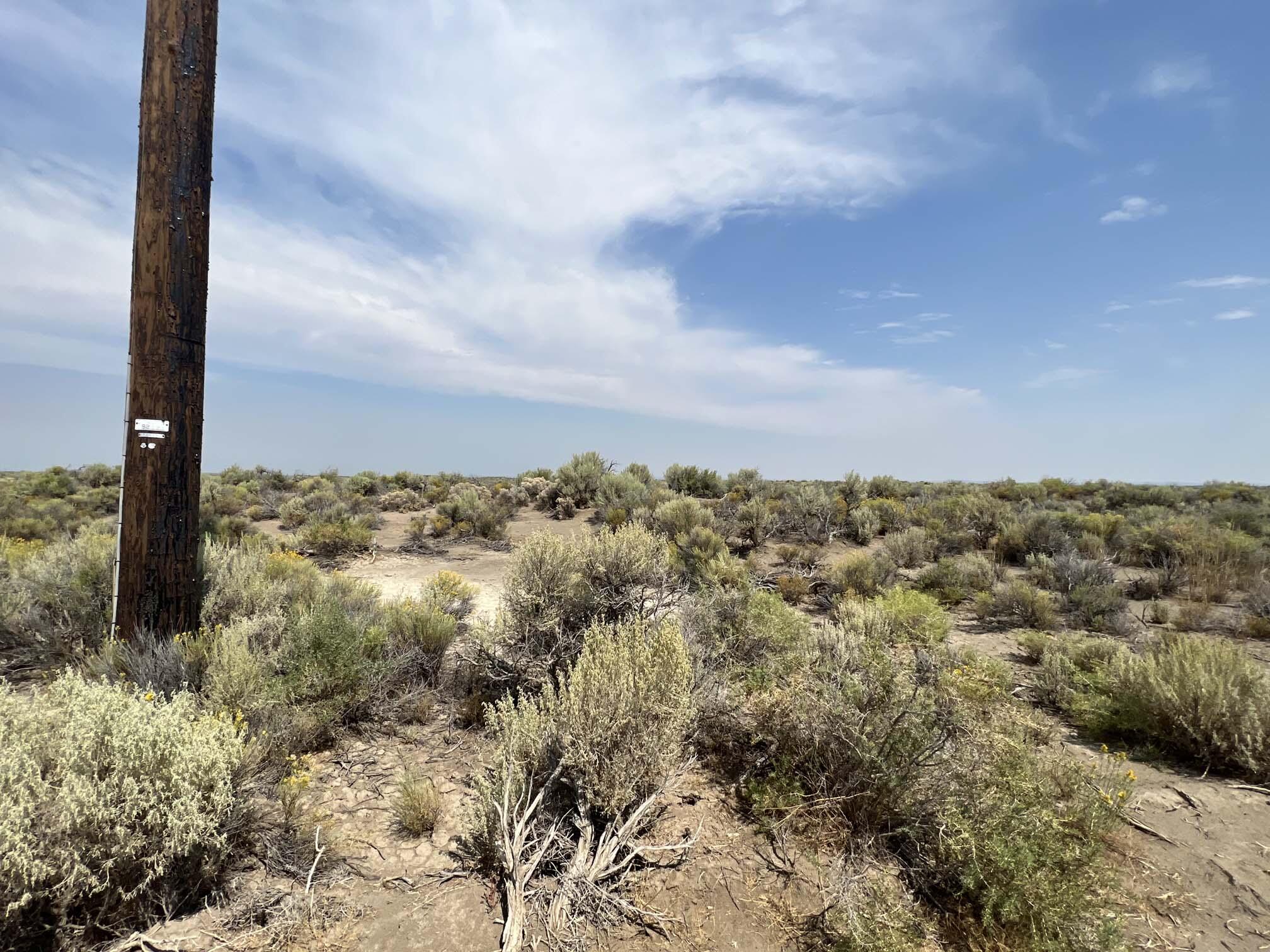20 Acres, fenced along north end, road on two sides. Has a power pole on the S.E. corner. This area is known for exceptional water wells. New well on the parcel to the west. Excellent well results on file.  Excellent roads that are packed gravel. Easy drive up from Christmas Valley Highway. This parcel appears to have an older hand-dug water well. This parcel could make a fine homesite or farm.  Many newcomers are opting for tiny homes. This could be a great one for that. Power is here.
GPS
43.2538
-120. 6027