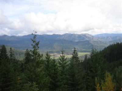 DEAL FELL!...Price lowered for a quick sale for this paradise retreat of 320 acres of mountains, valleys, springs, creeks, forest and beautiful views of Evans Valley. This incredible property has a lot to offer: abundant hunting, serene privacy, beautiful settings, future timber revenue.