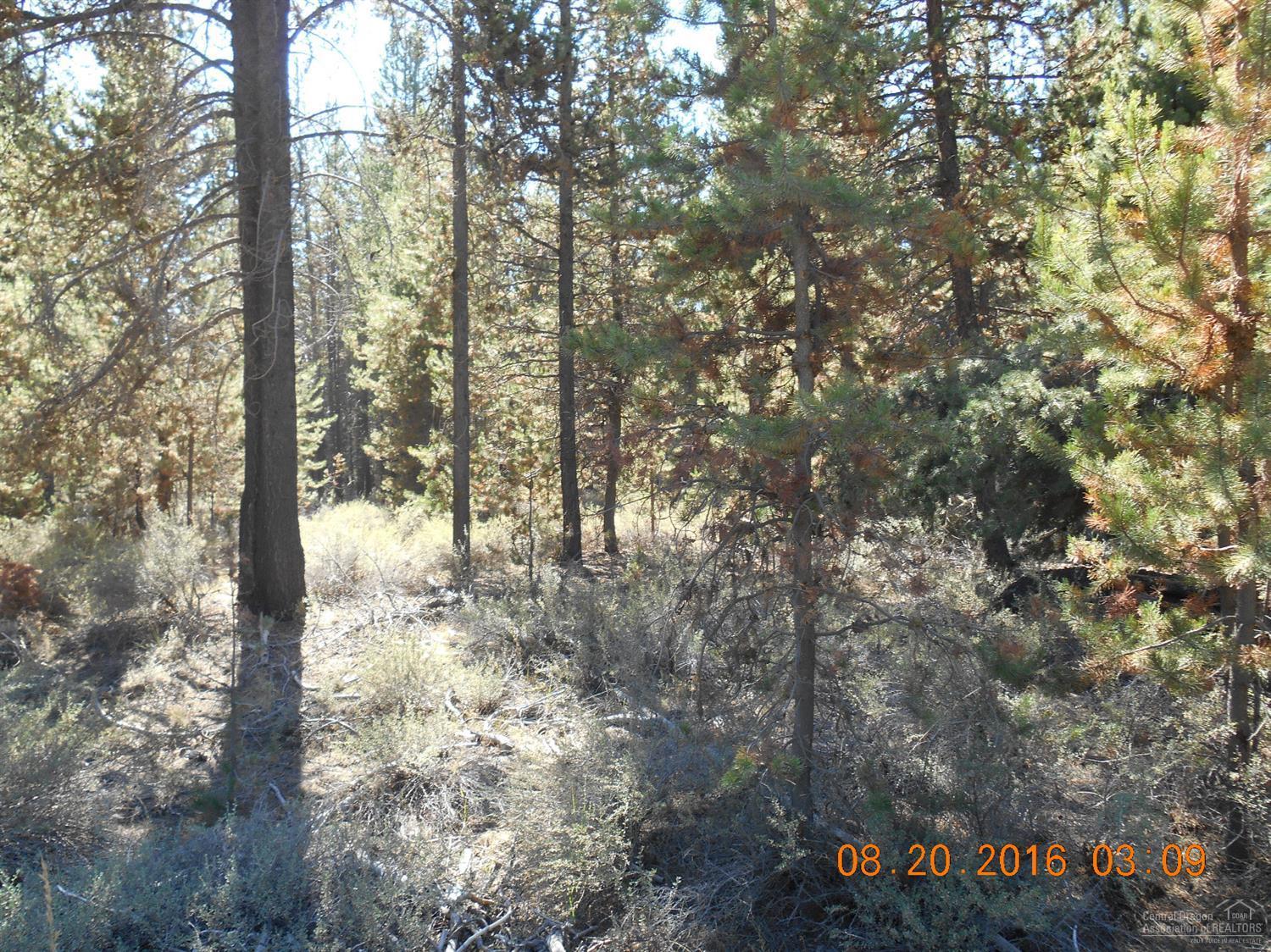Holmes Acres - Land