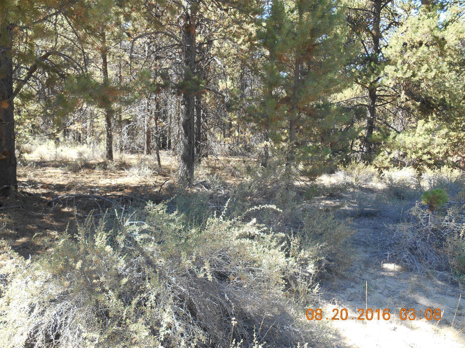 Holmes Acres - Land