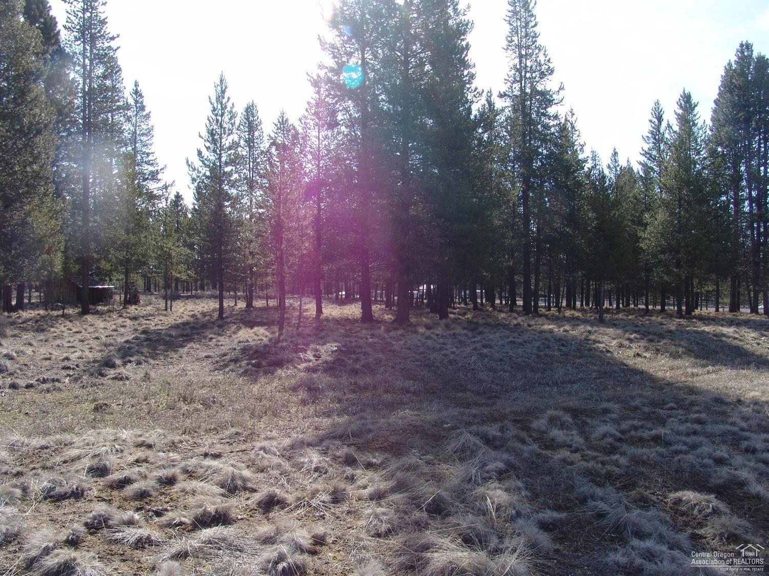 Sun Forest Estates - Land