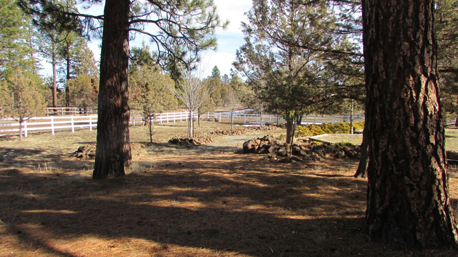 Cedar Trails - Residential
