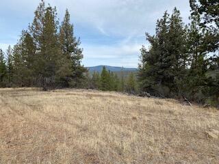 Klamath Falls Forest Estates -Hwy 66 Unit -Plat No. 2 - Land