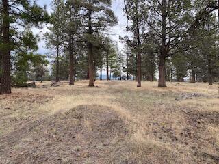 Klamath Falls Forest Estates -Hwy 66 Unit -Plat No. 2 - Land