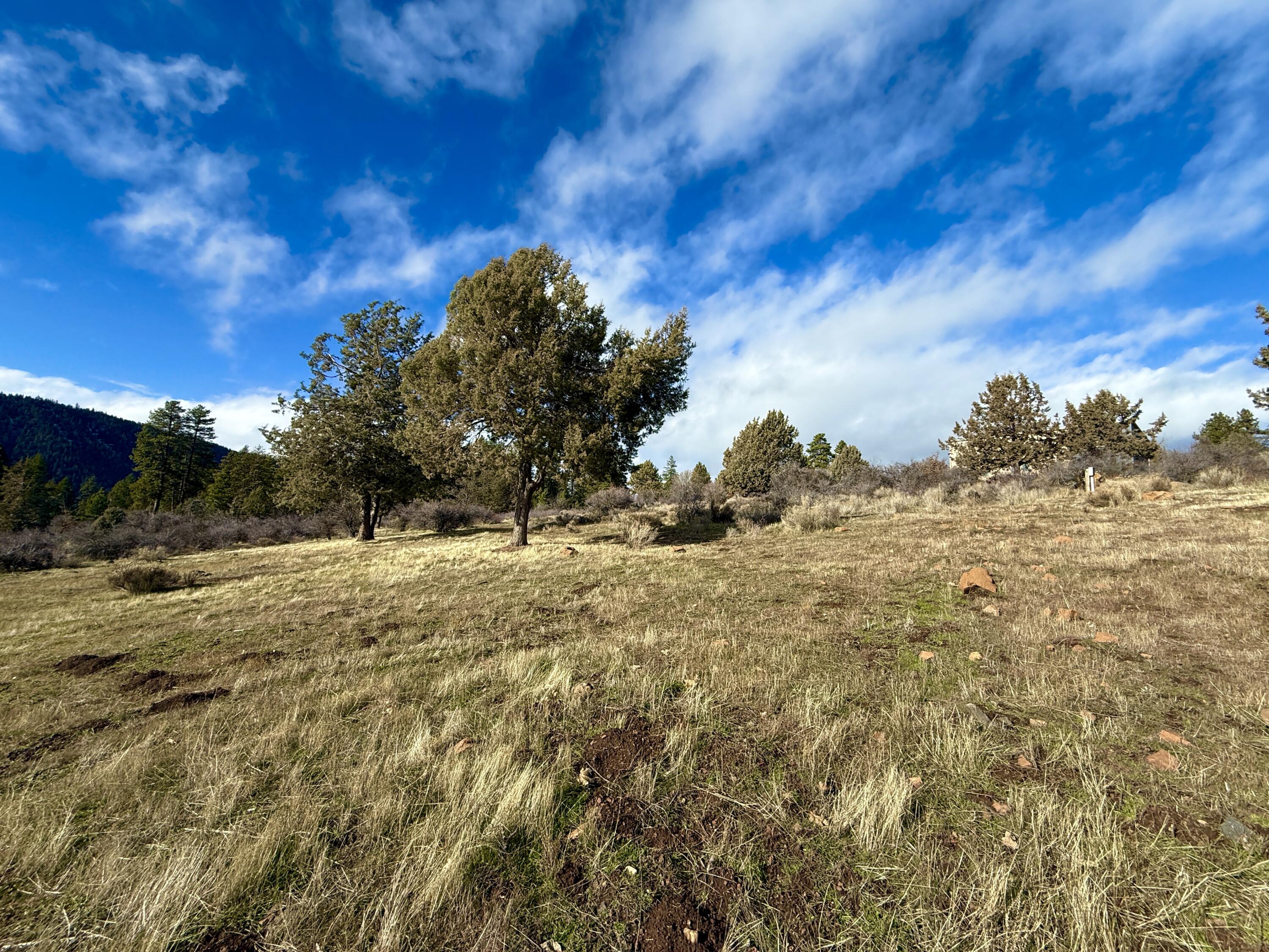 Running YResort - Land