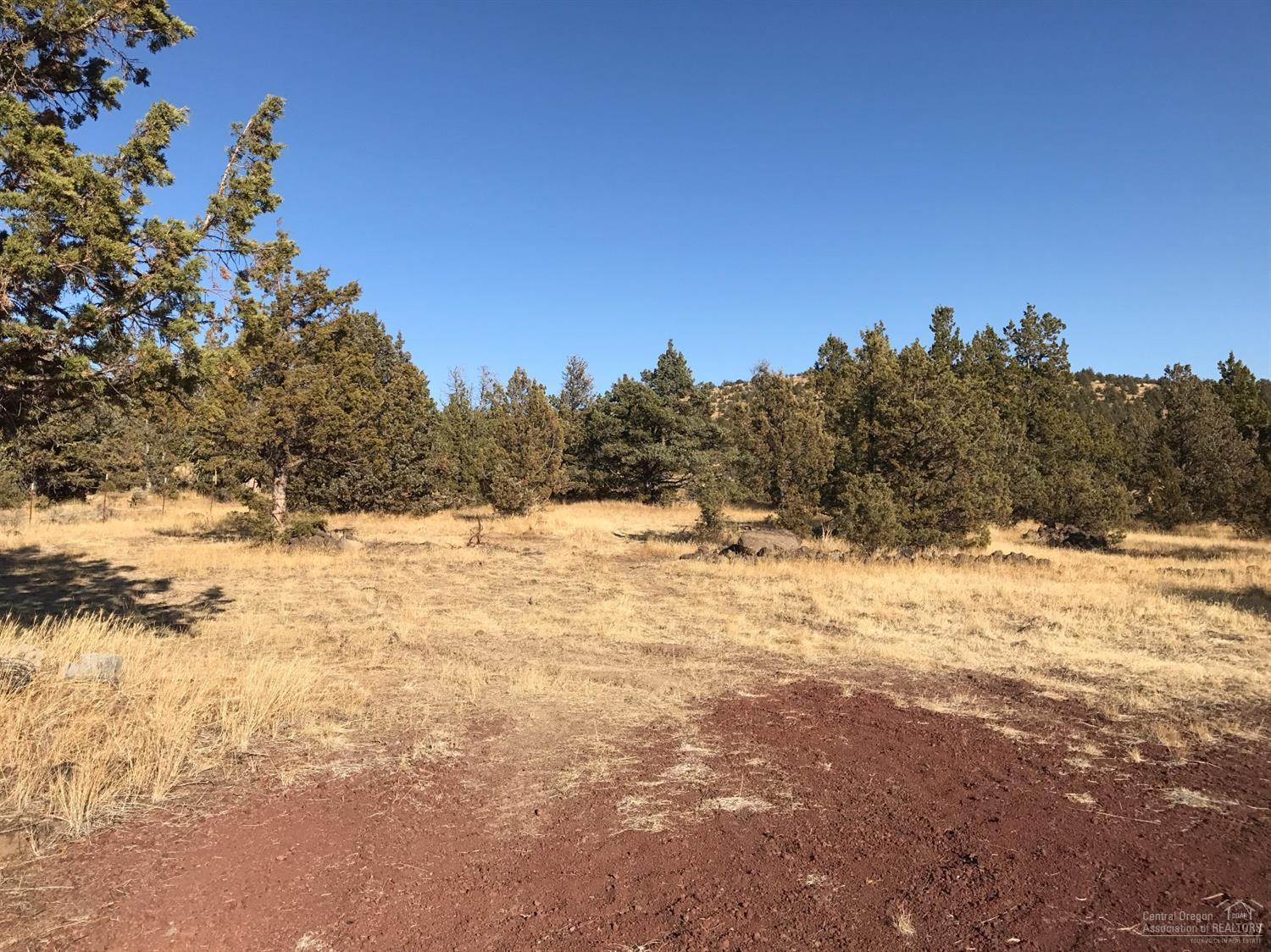 Backs up to BLM! 1.90 Acres with driveway approach in along with Septic approved for Cap and Fill system. View of Cascade Mountains. Great building lot.