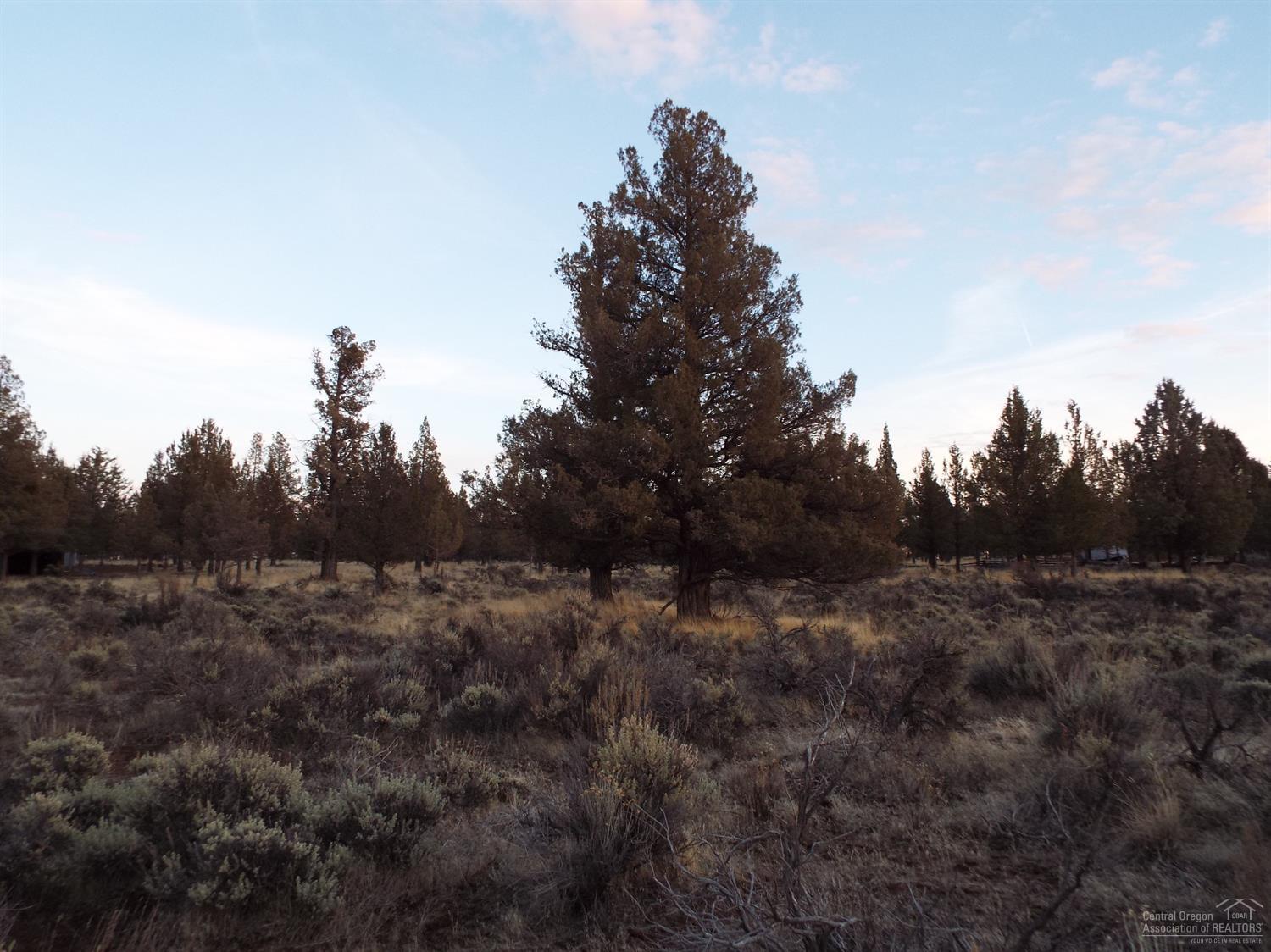 Squaw Creek Canyon - Land