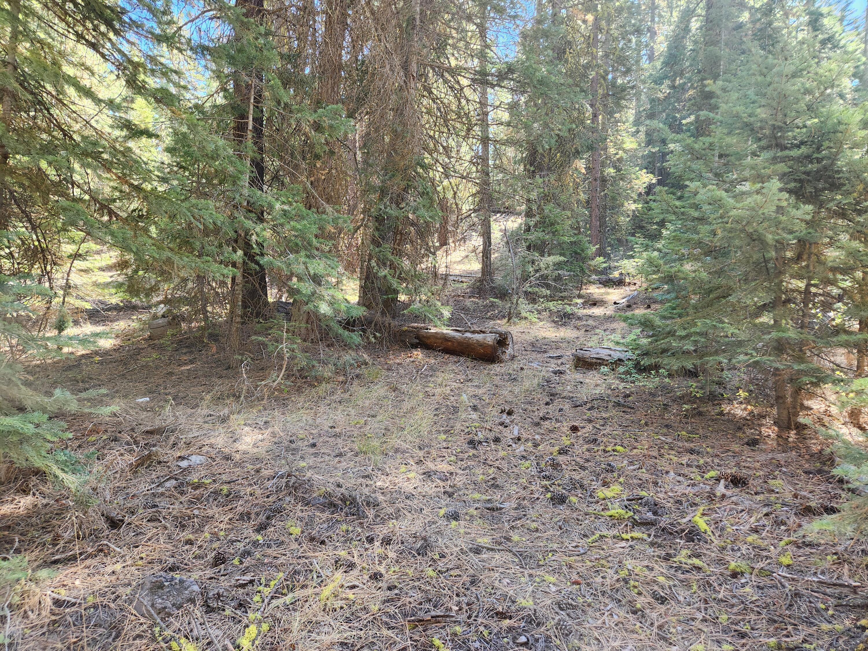 Klamath Forest Estates - Land