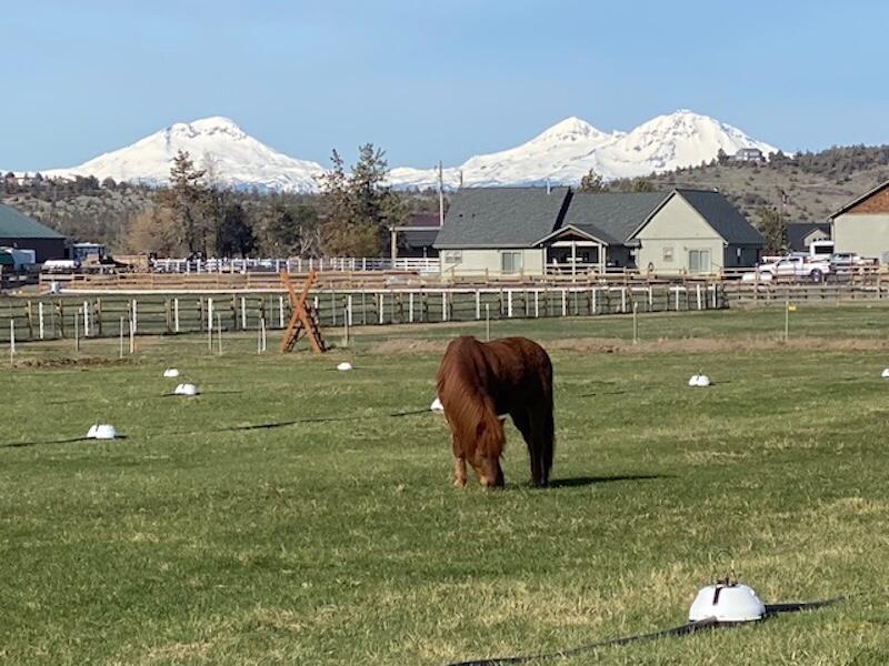 Equestrian Meadows - Residential