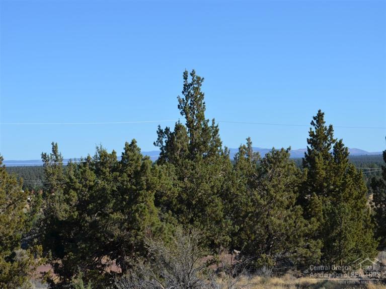 Whispering Pines - Land