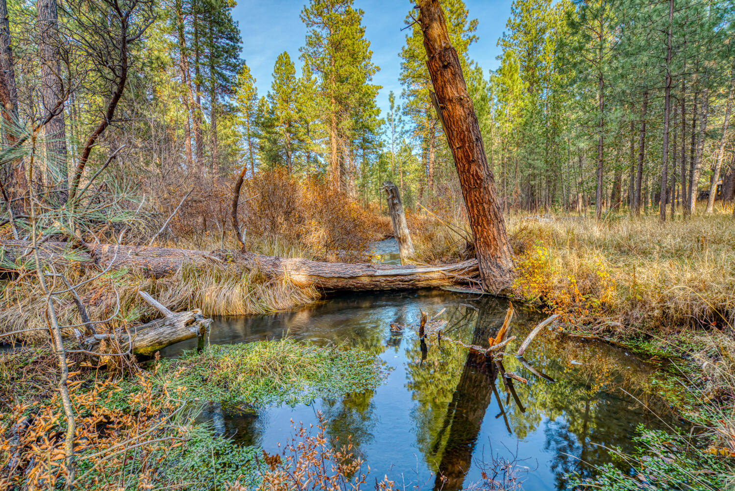Metolius Meadows - Residential