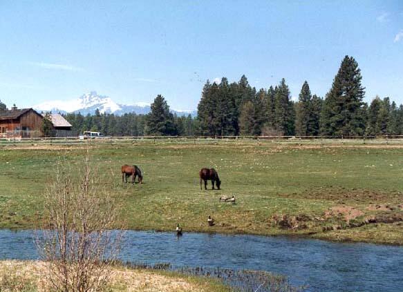 Metolius Meadows - Residential