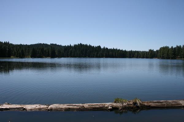 Medco Ponds, a rare opportunity to own 676 acres of nicely forested property with a spectacular 64 acre pond. Outdoor activities abound in this park-like setting. Own it as a timber investment, recreational retreat, or as a home site. Truly, this property offers a combination of opportunities for future income and enjoyment. Access is convenient to this property and to the many nearby recreational destinations of Southern Oregon. Don't miss this chance to own a very special Oregon property.