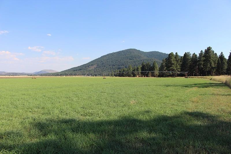SWAN LAKE FARM 612 productive fenced acres planted to Orchard and Timothy grass, with soils good also for spuds, oats, barley or wheat. Irrigated with two private, secure irrigation wells and 7 pivots. Homestead with mature trees, domestic well, septic and several outbuildings ready for your new home! Farm has 3 large partially enclosed hay barns, paved county road frontage, vast valley and mountain views 14+/- miles from Klamath Falls.