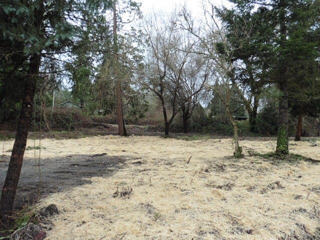 Just over one acre and located at the edge of town with easy access to freeway and services. Flat lot with mature trees and lots of potential.