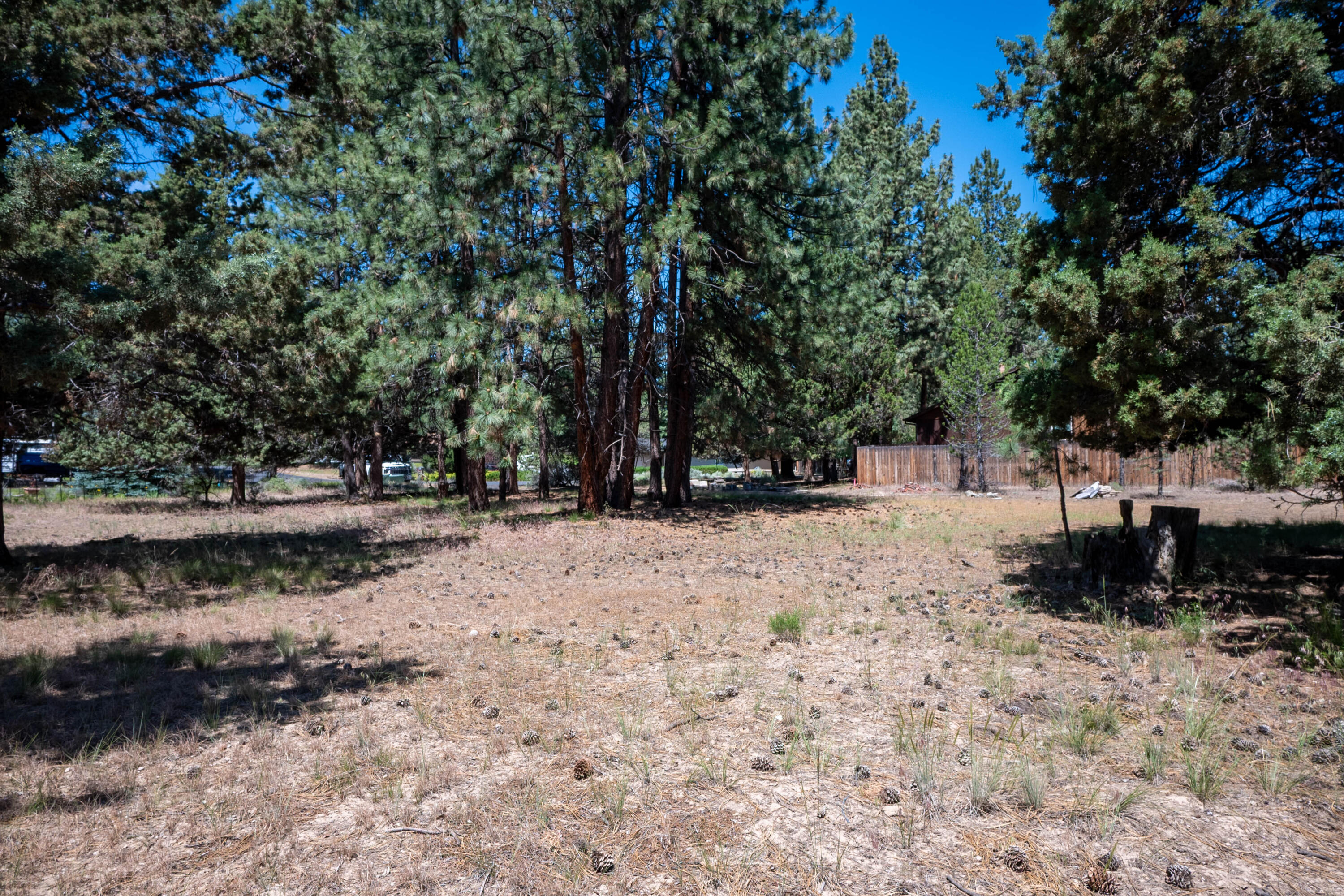 Ambrosia Acres - Land
