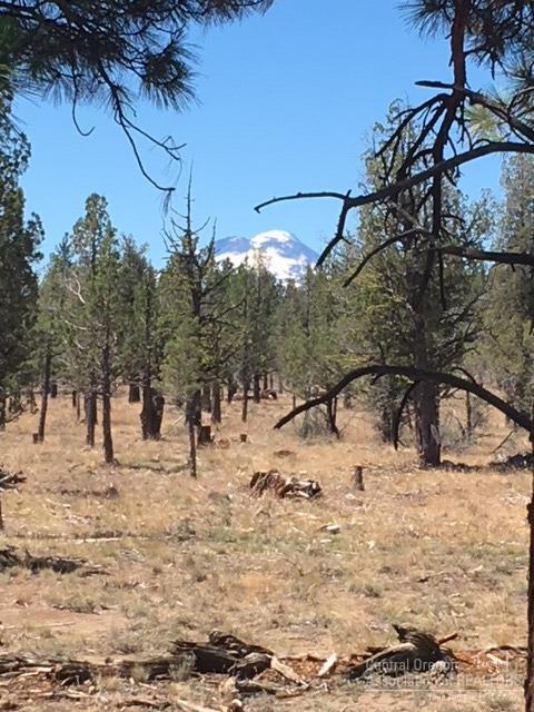 The last available 2.5 acre lot in Squaw Creek estates backing to BLM land on a newly constructed paved street. The lot is flat with a nice mix of Ponderosa and Juniper trees. Potential Mountain Views from this quiet private peaceful building site just minutes to downtown Sisters Oregon. Custom home plans available. Septic feasibility complete.
