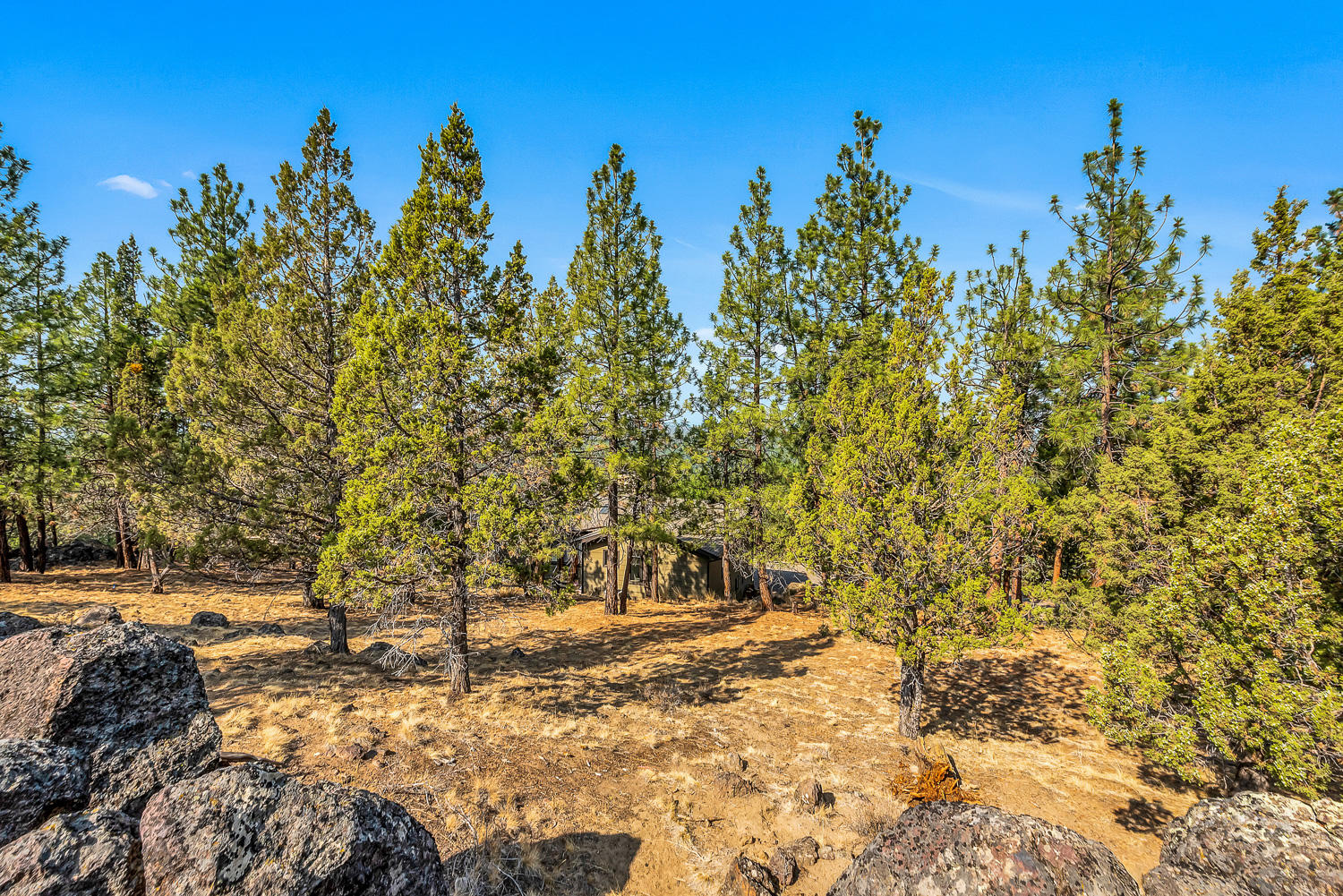 Saddleback - Residential