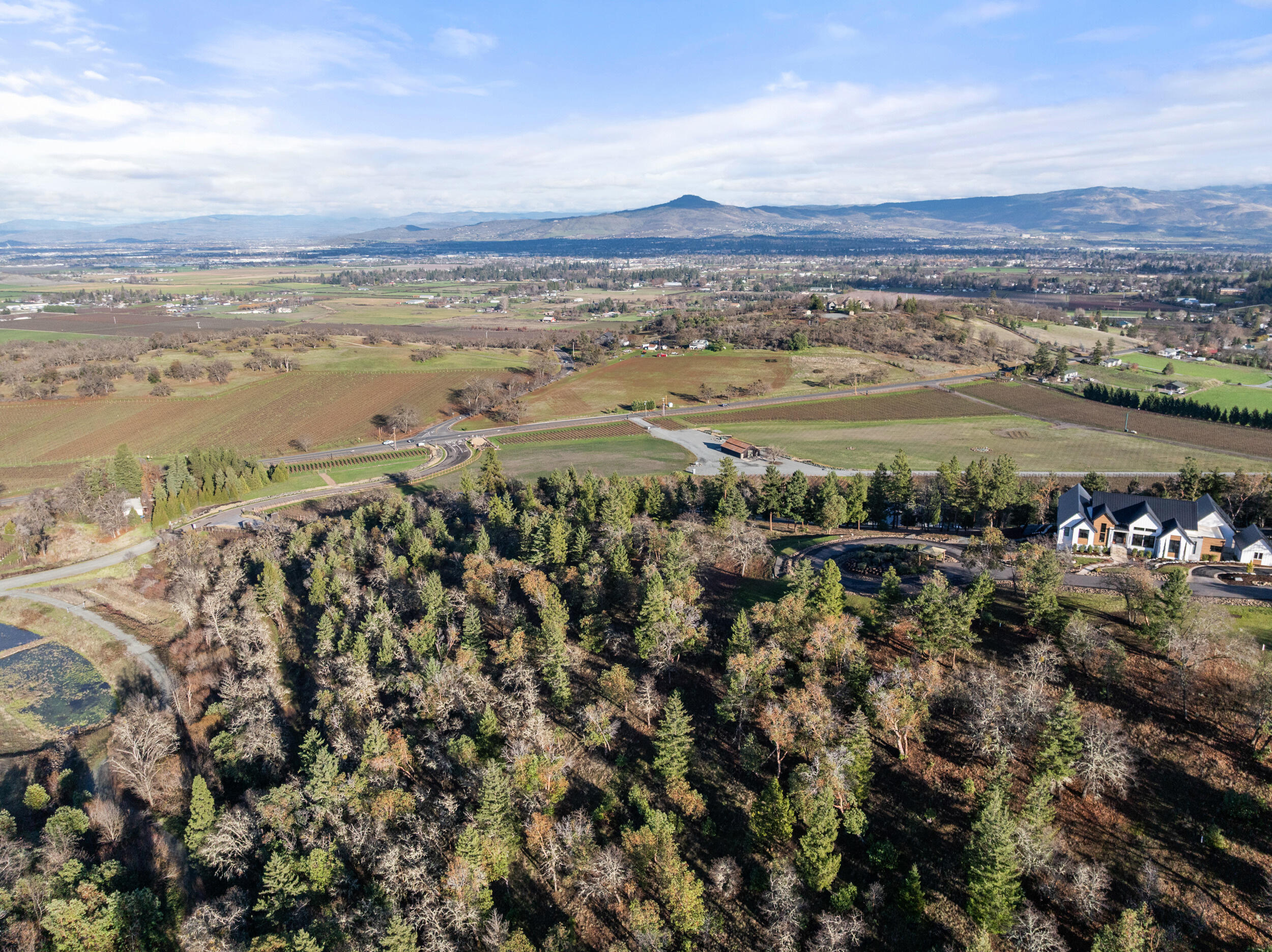 Vineyards At Stage Pass, The - Land